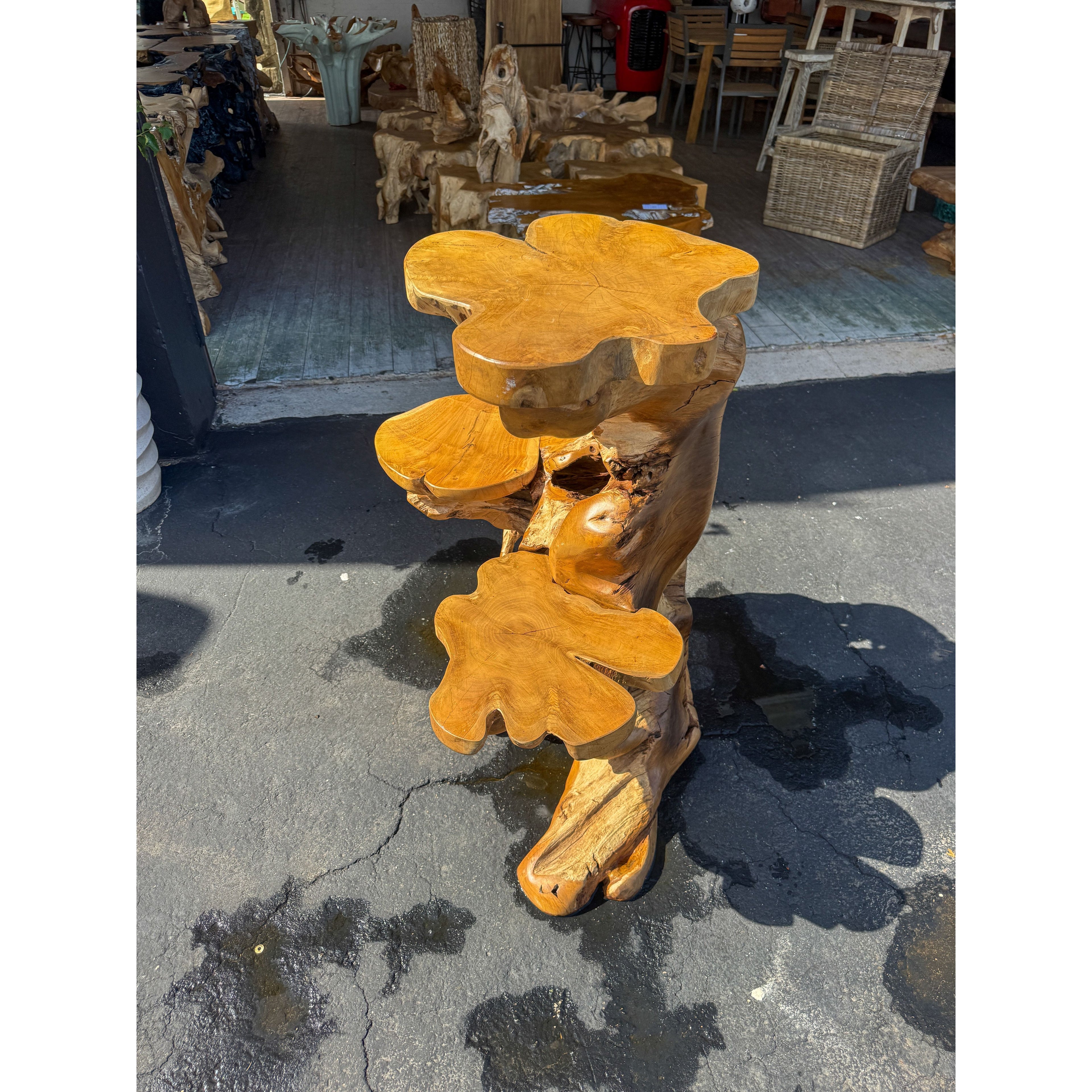 Teak Root Display (4A) Broward Design Center