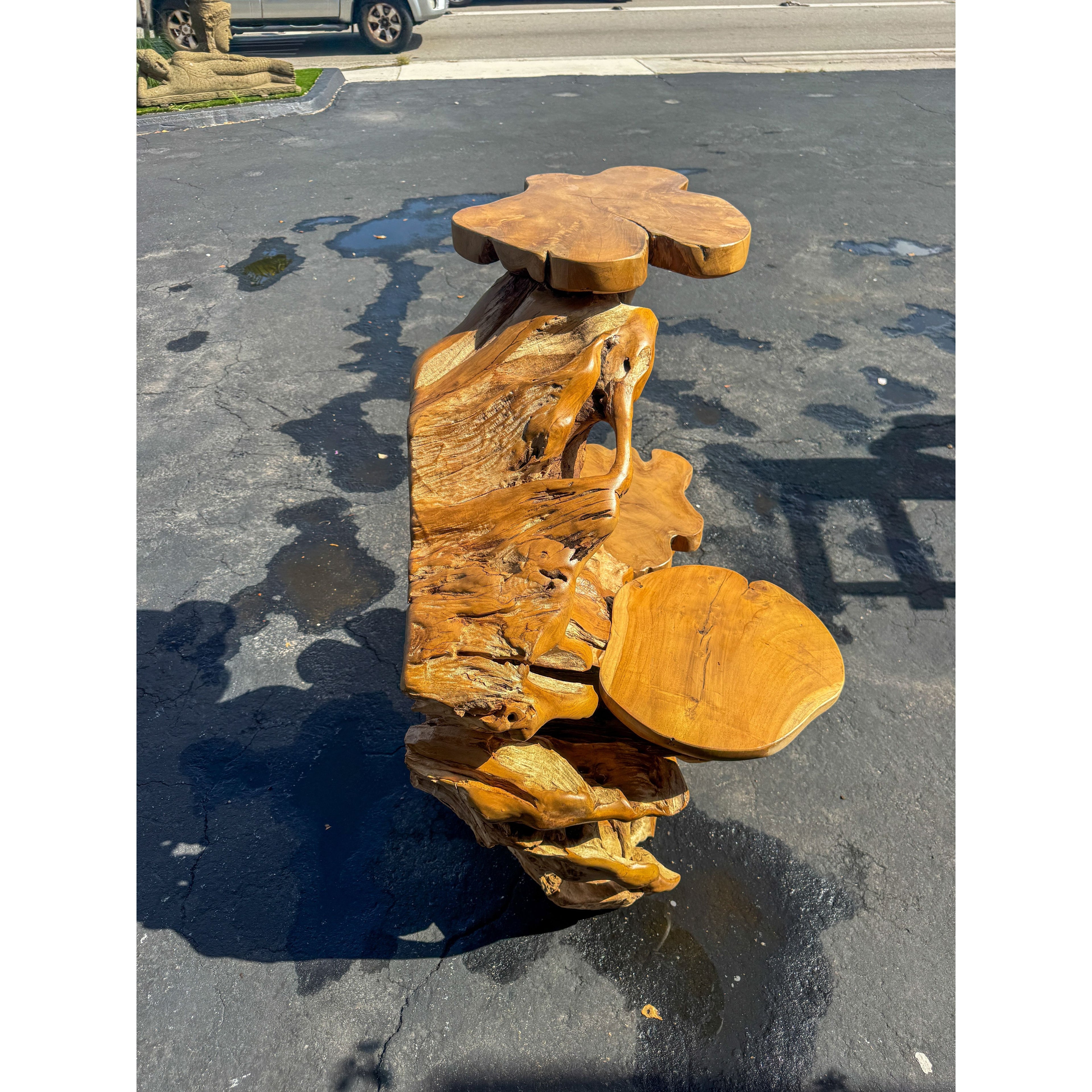 Teak Root Display (4A) Broward Design Center