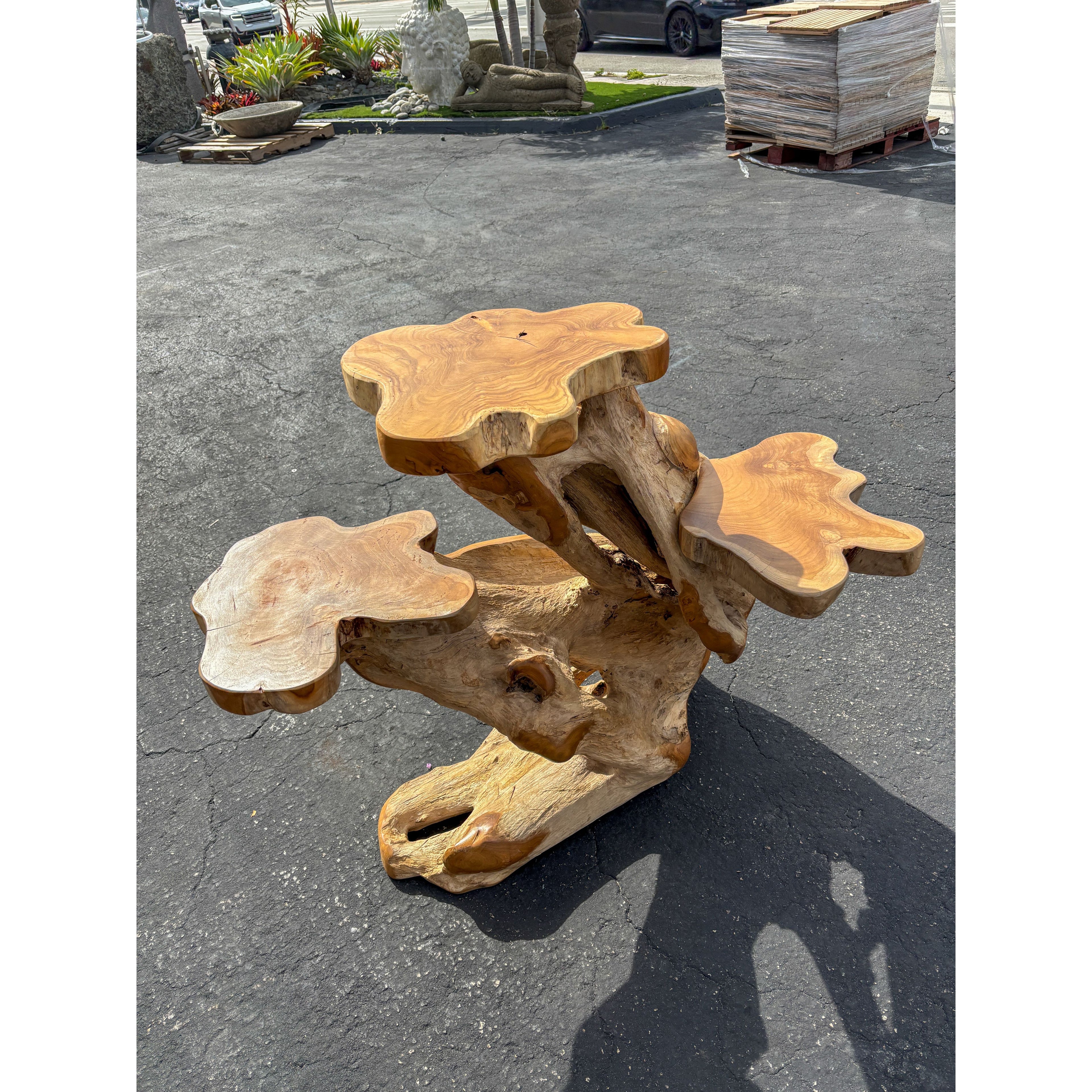 ORGANIC TEAK DISPLAY LARGE - D Anteak