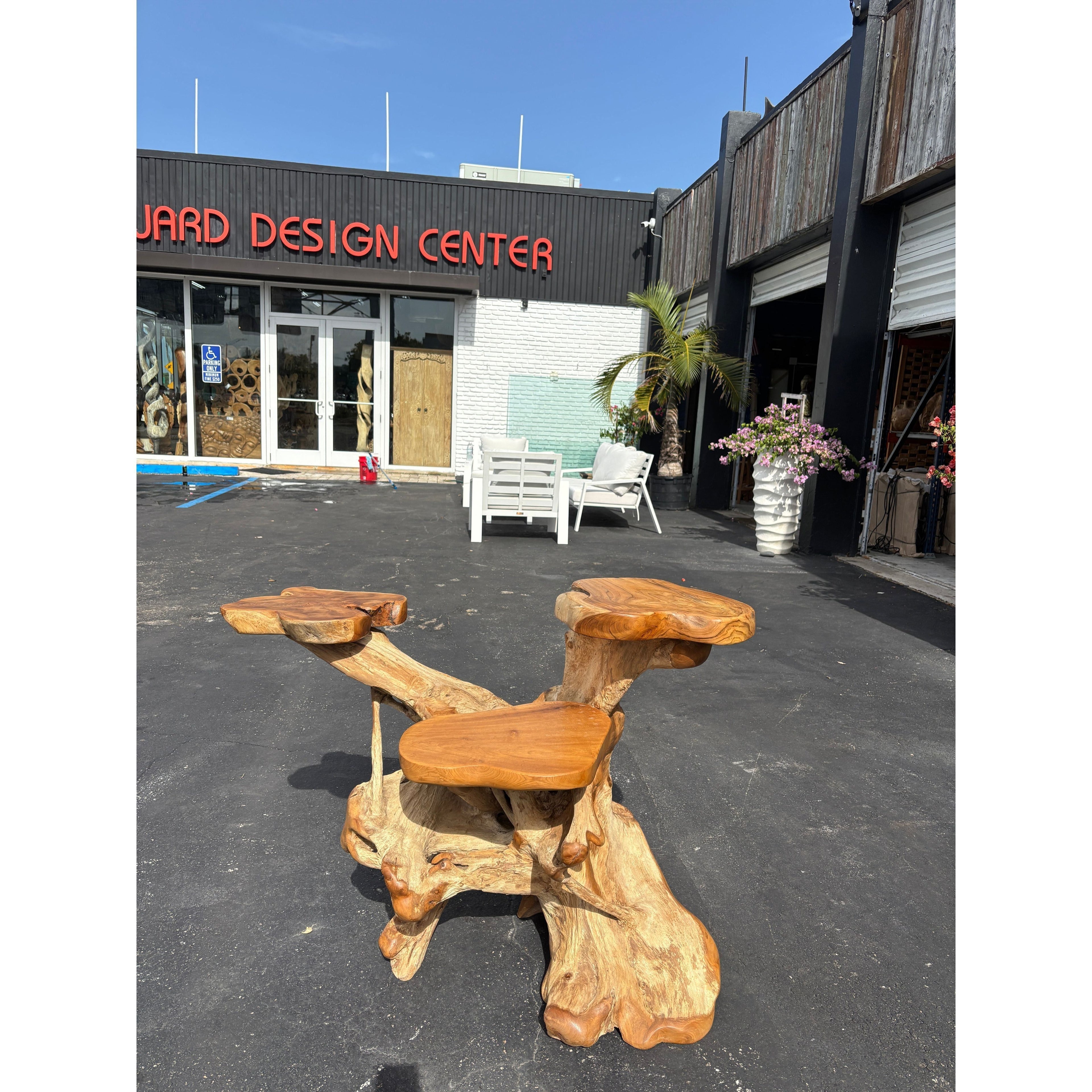 ORGANIC TEAK DISPLAY LARGE - B Anteak