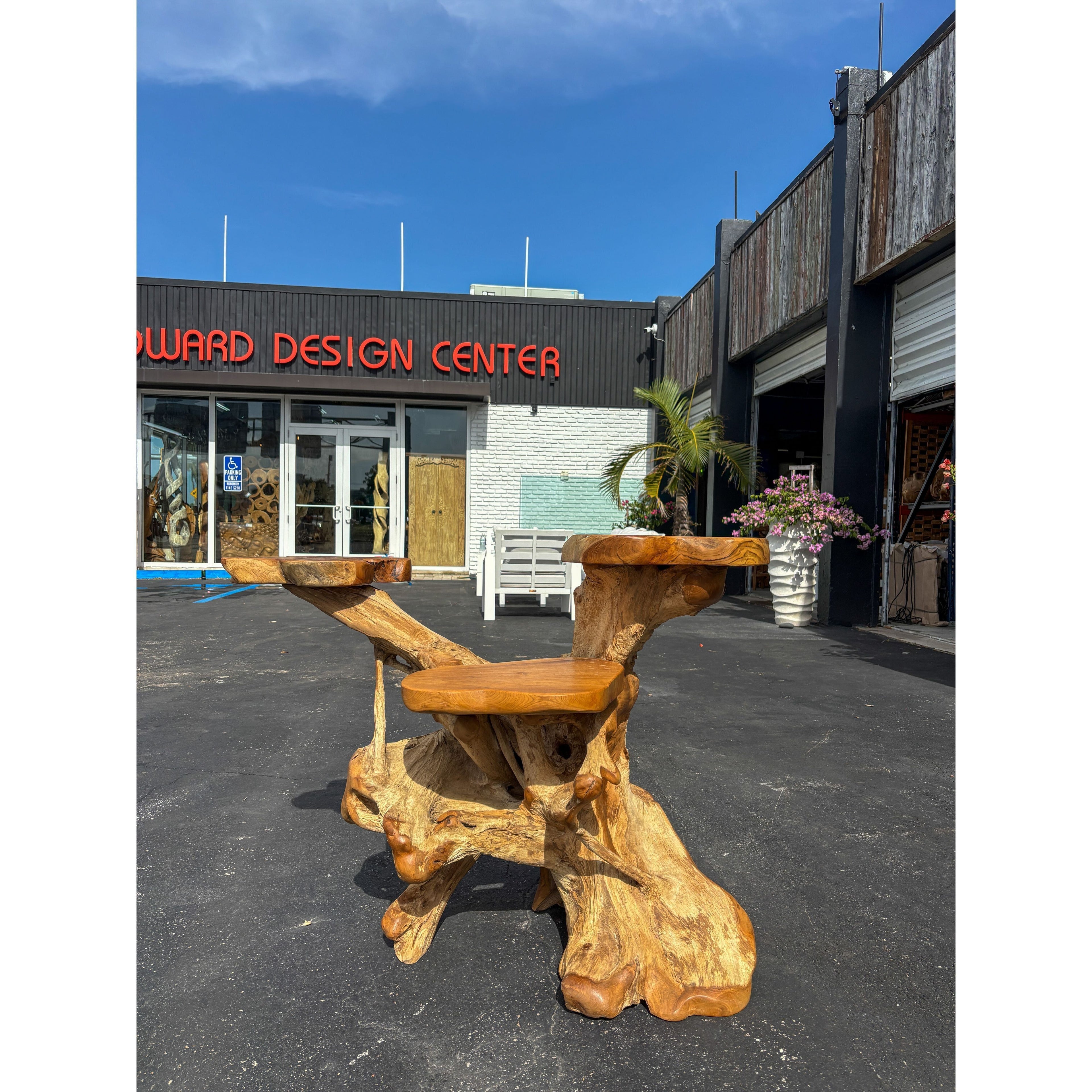 ORGANIC TEAK DISPLAY LARGE - B Anteak