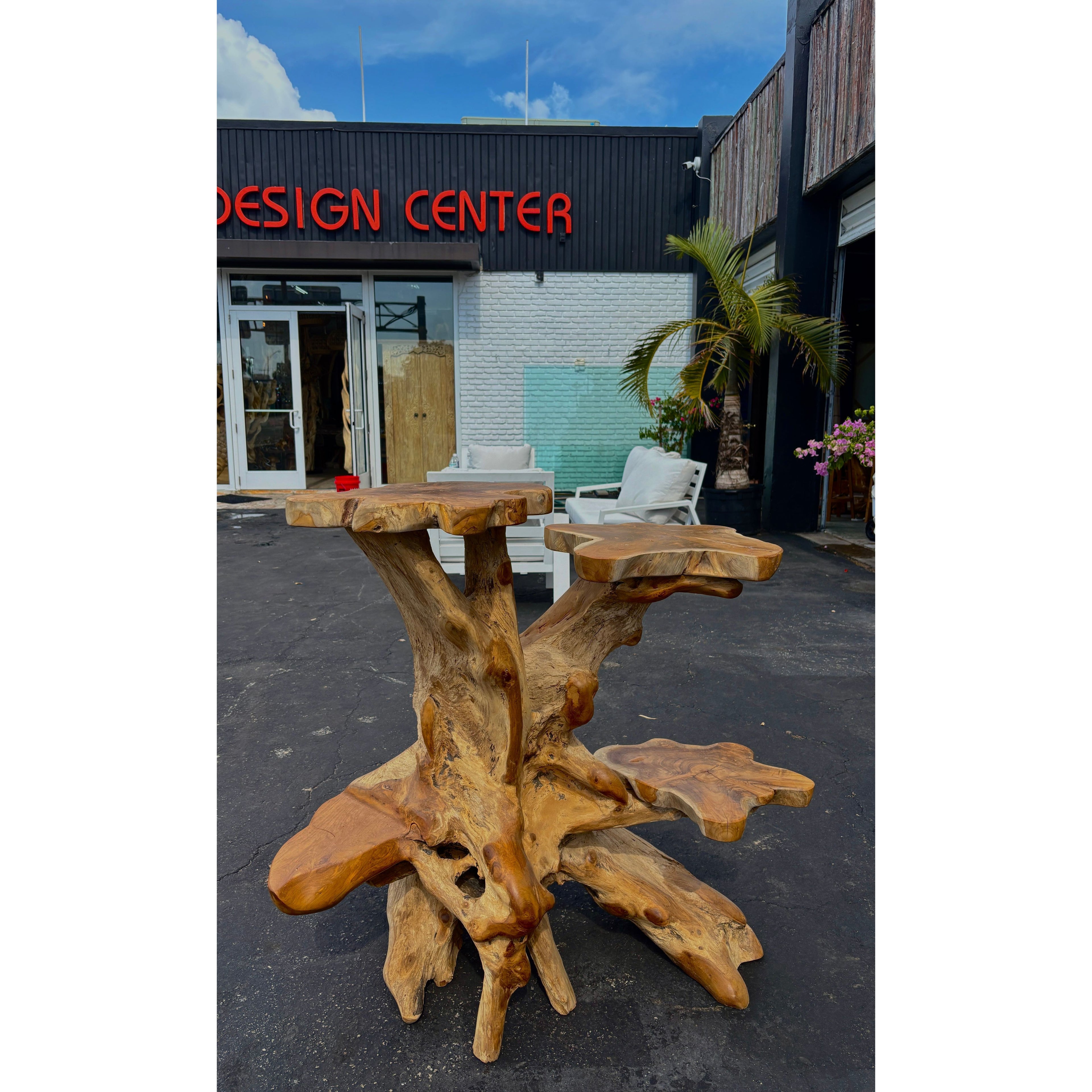 ORGANIC TEAK DISPLAY LARGE - D Anteak