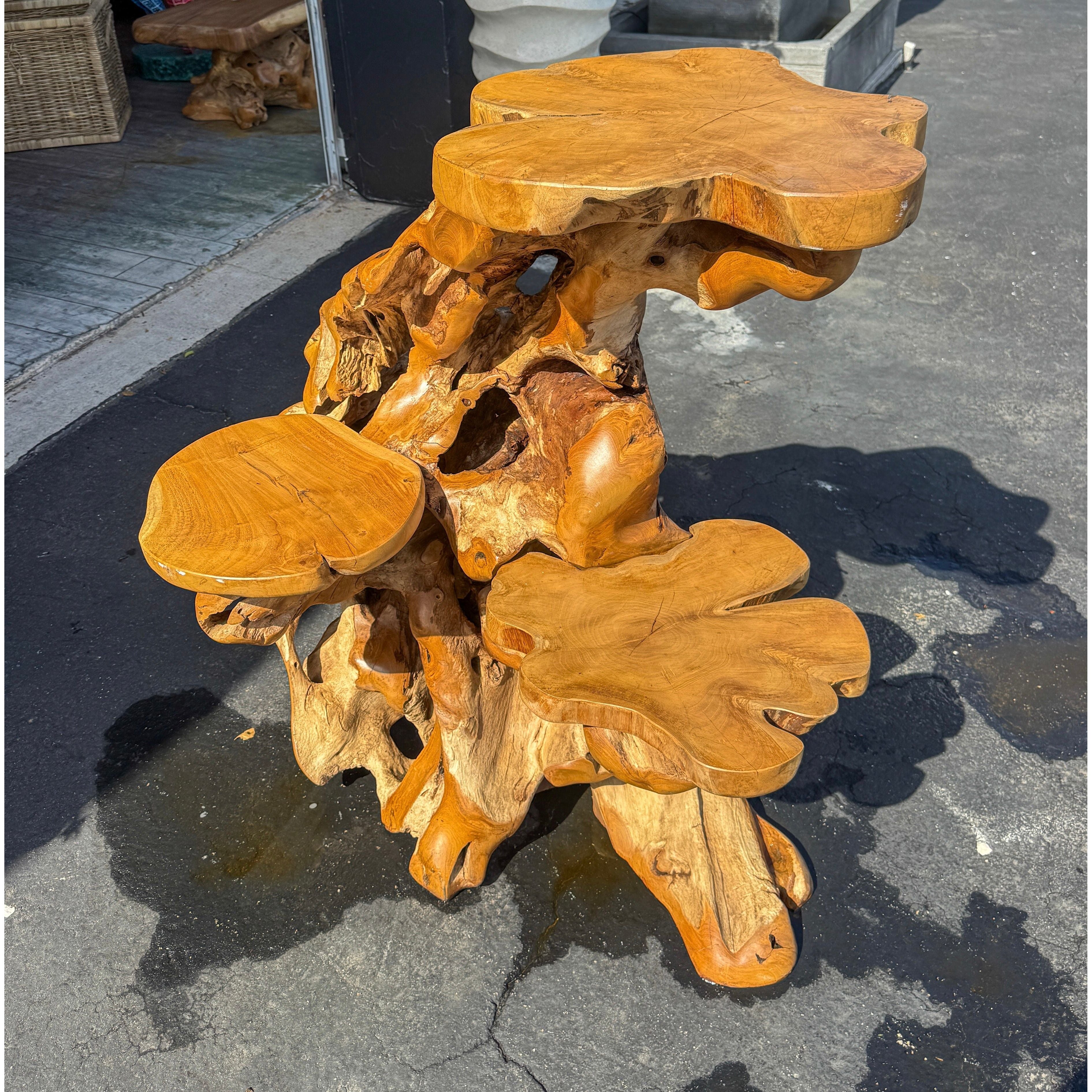 Teak Root Display (4A) Broward Design Center