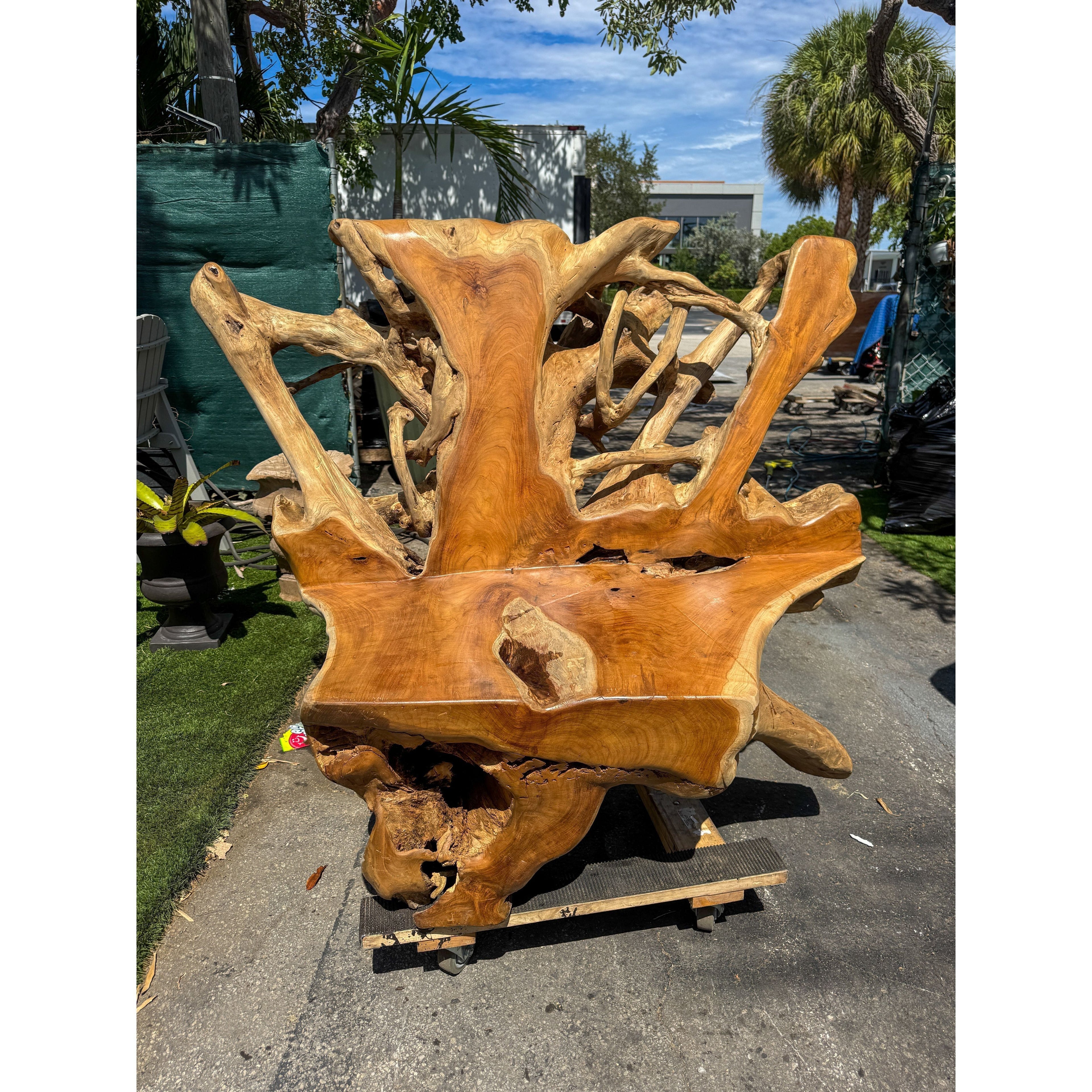 ORGANIC TEAK ROOT SOFA XXL Anteak