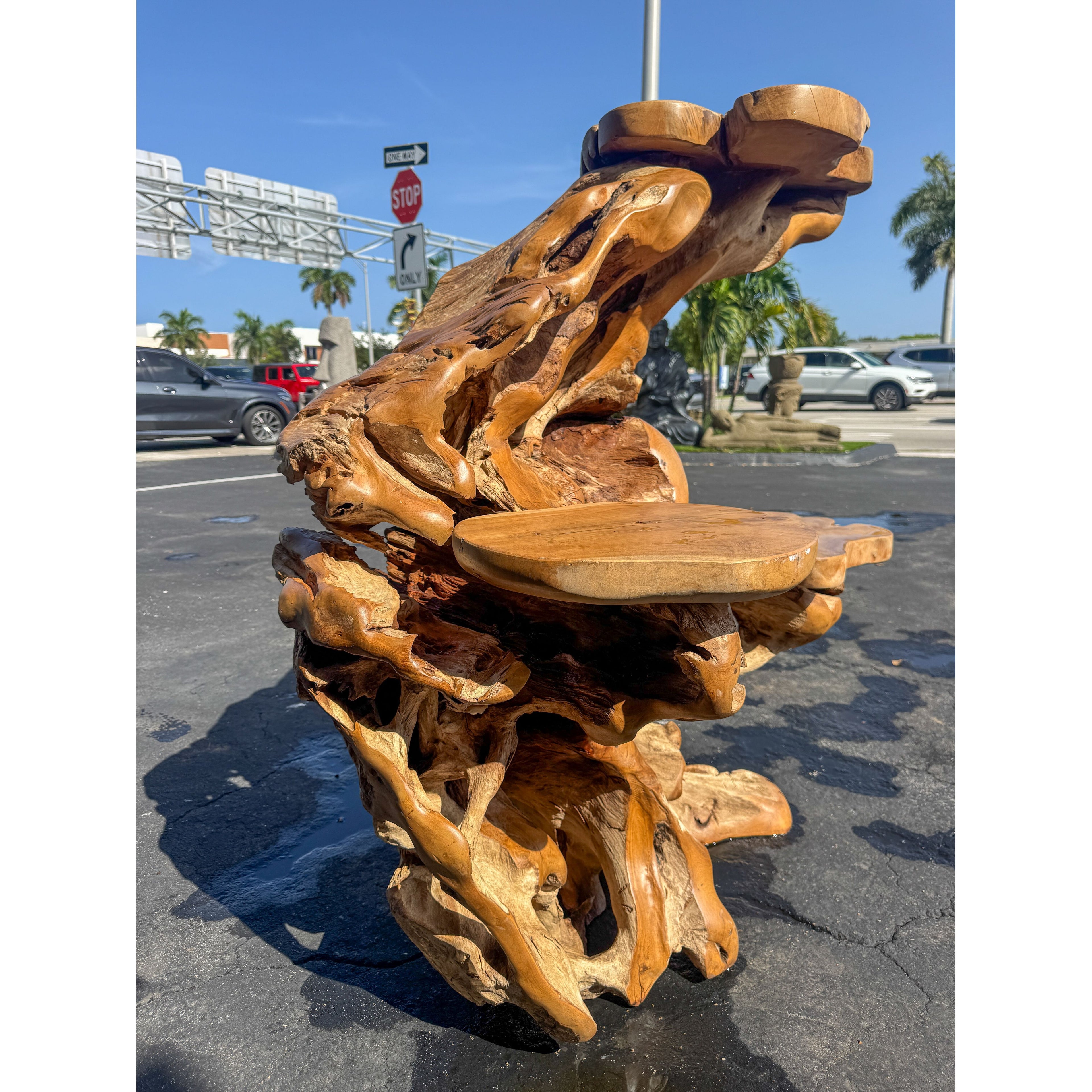 Teak Root Display (4A) Broward Design Center