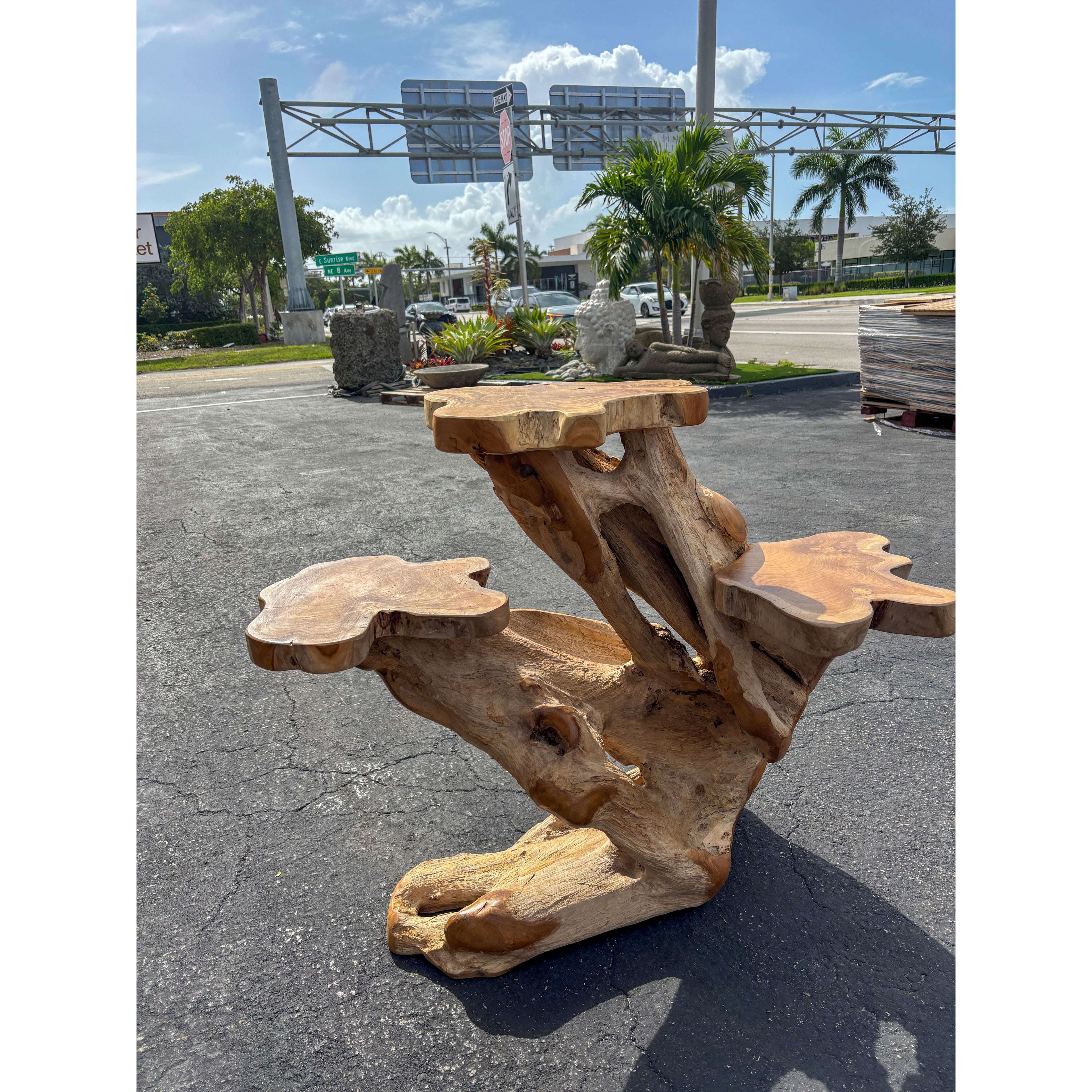 ORGANIC TEAK DISPLAY LARGE - D Anteak