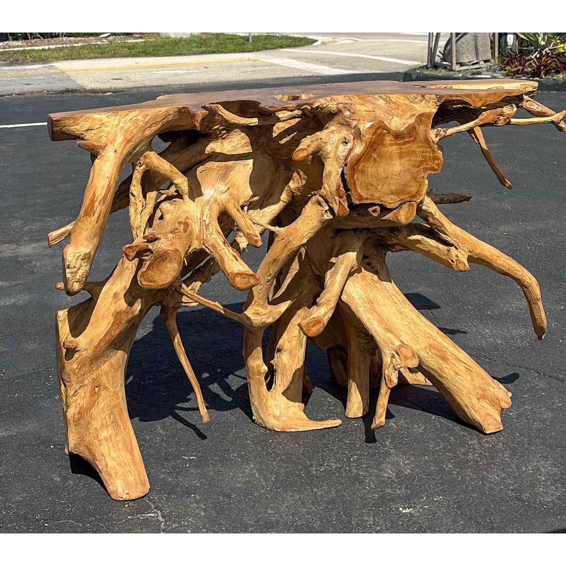 Teak Root Console (2) The Broward Design Center