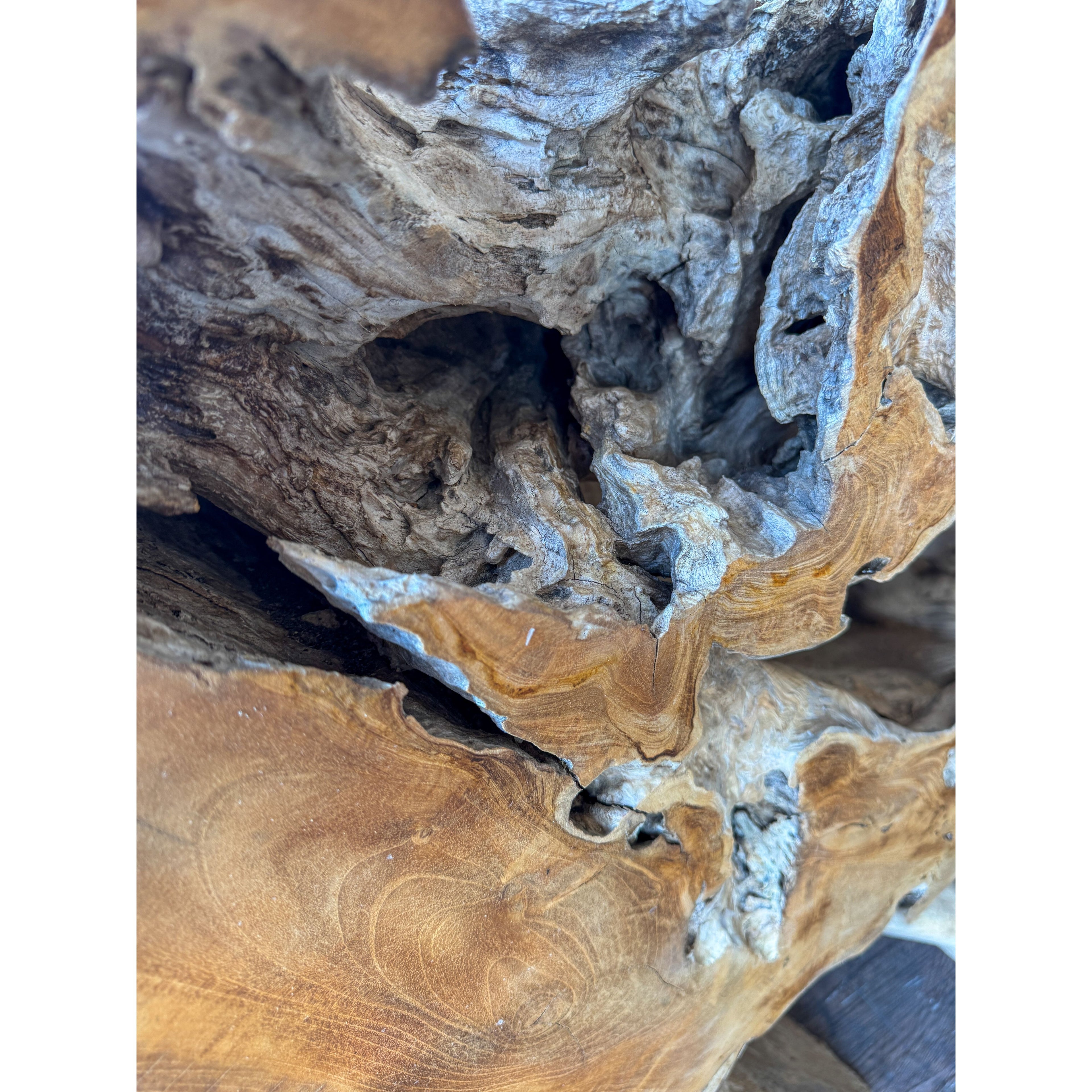 XL Teak Root Console Anteak