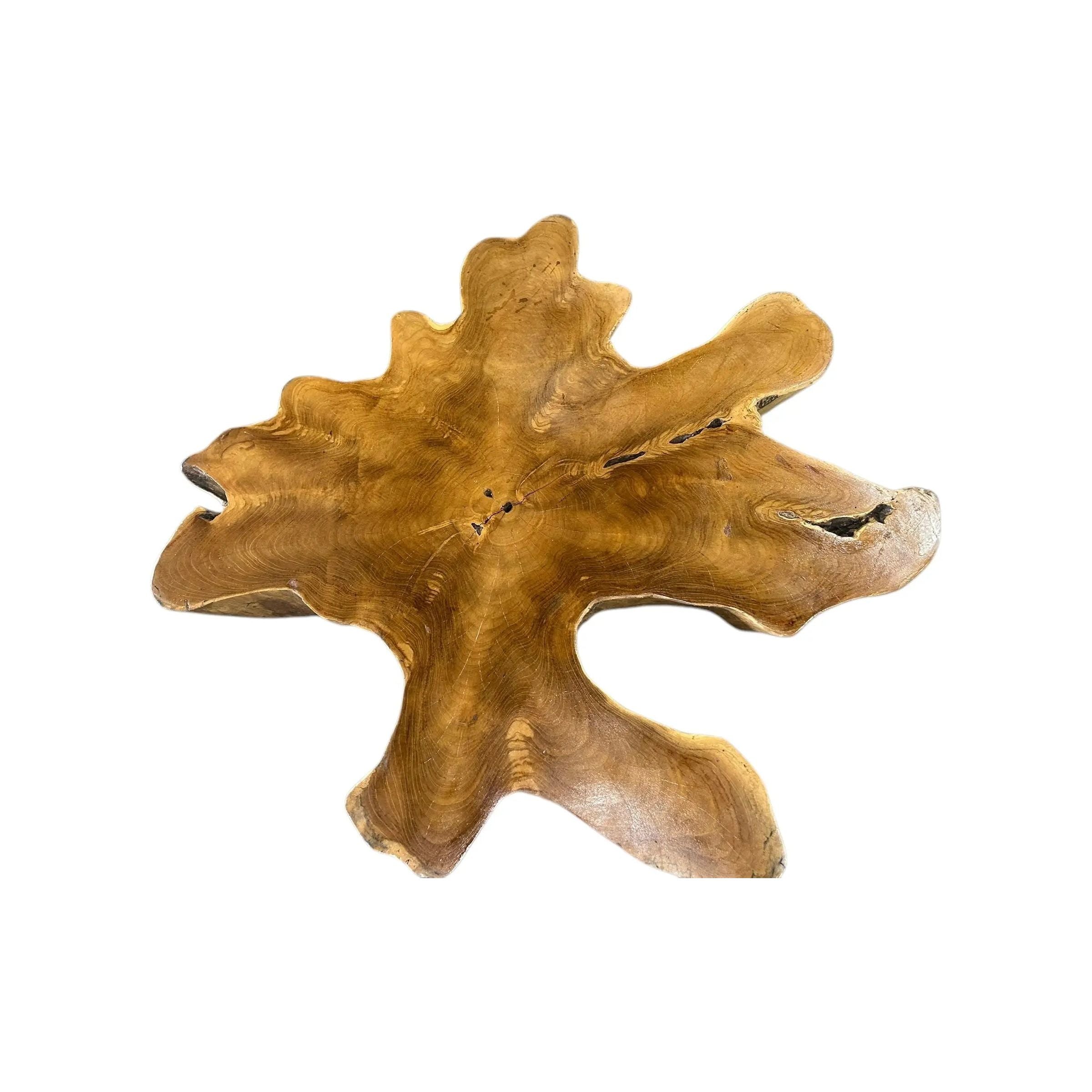 Teak Broward Design Center