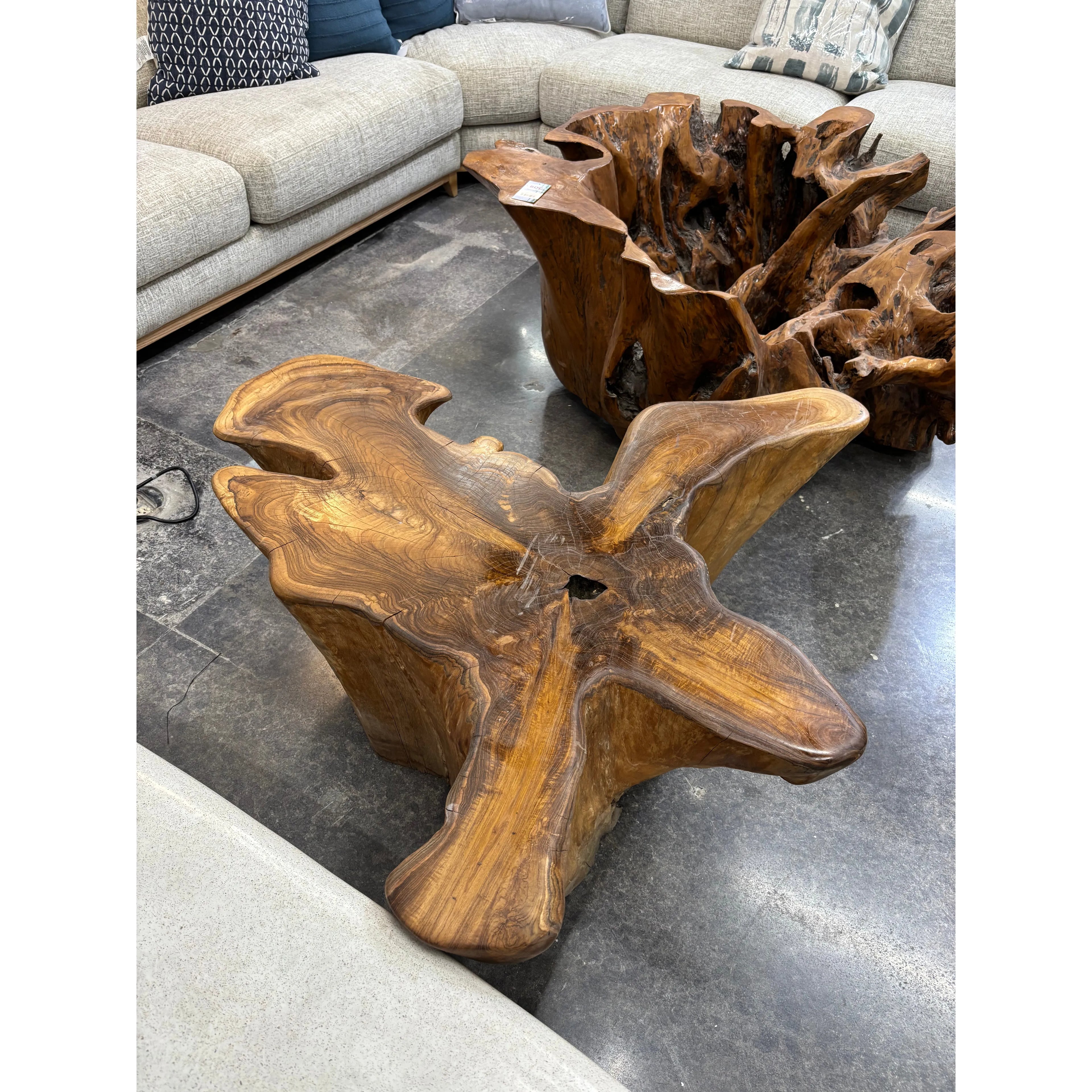 Teak Root Star Coffee Table (B) The Broward Design Center