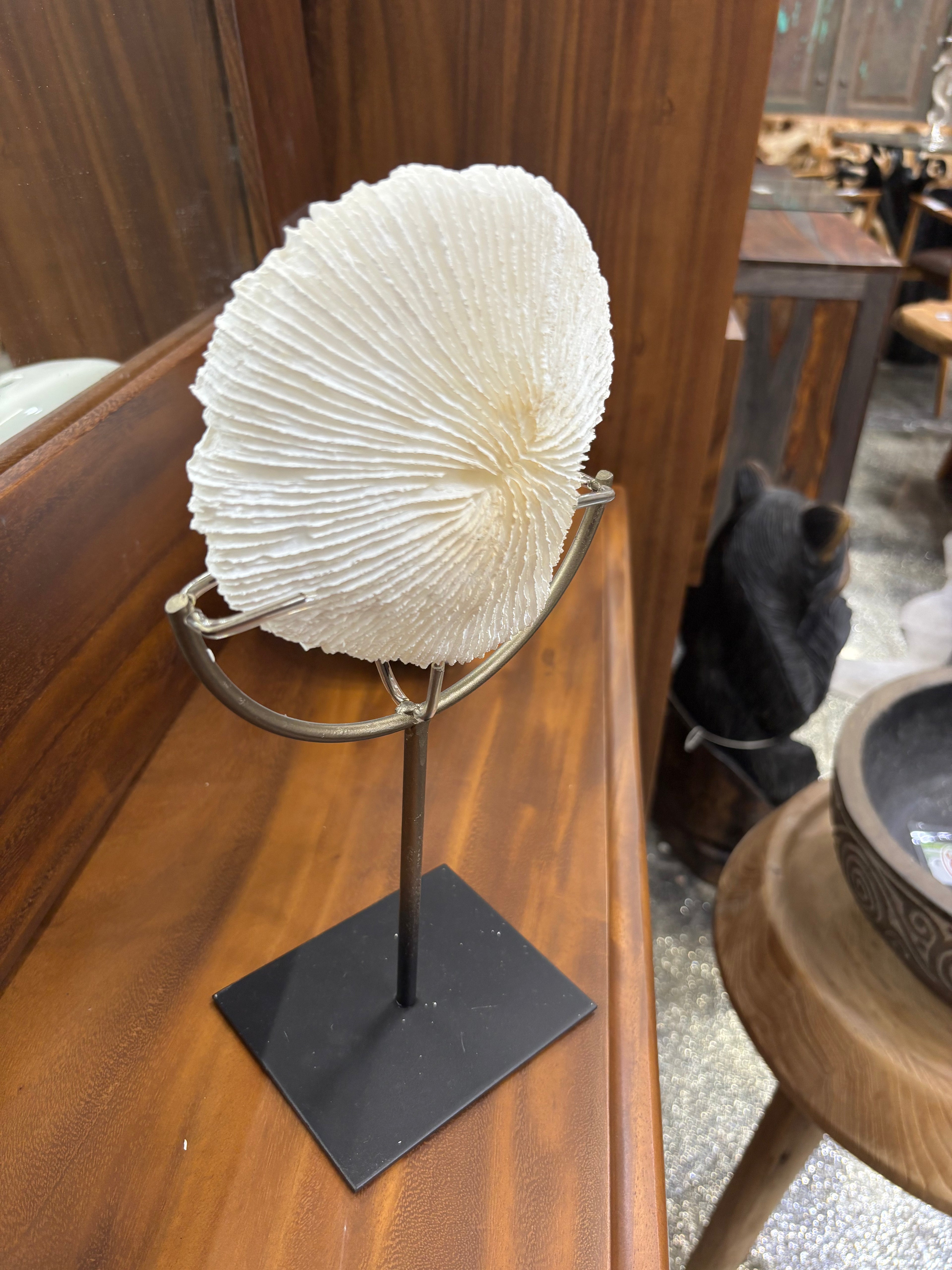 Polystone Coral on Stand UMA