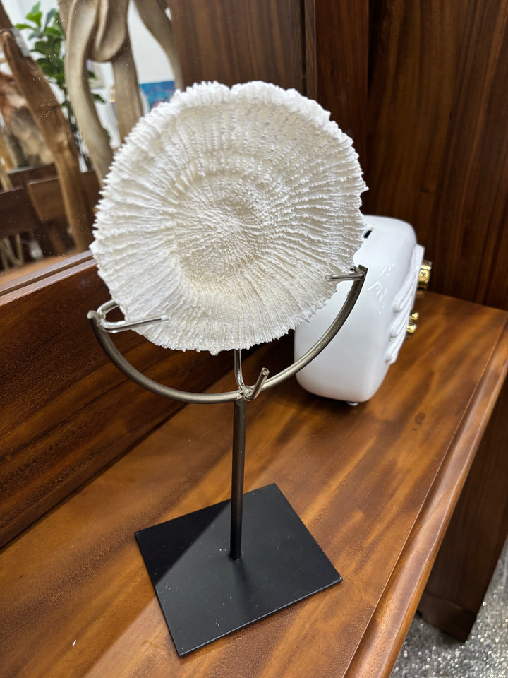 Polystone Coral on Stand UMA