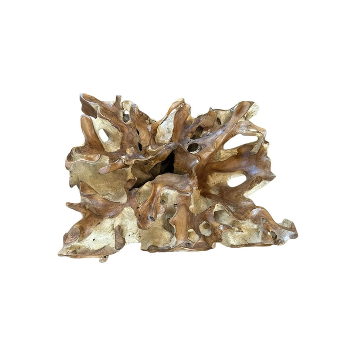 Teak Root Deco Coffee Table 24” x 32” Anteak