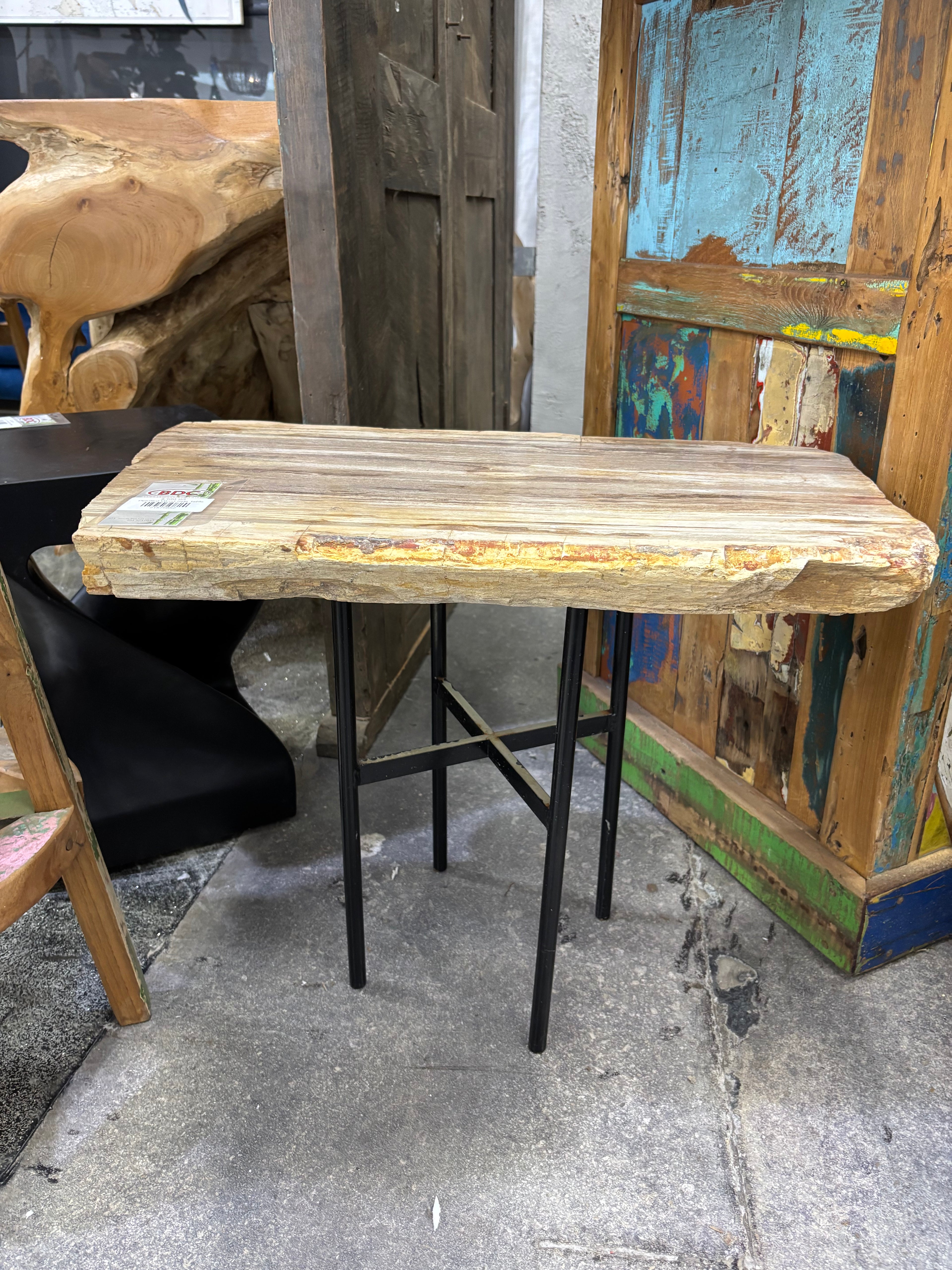 Petrified Wood Side Table Broward Design Center