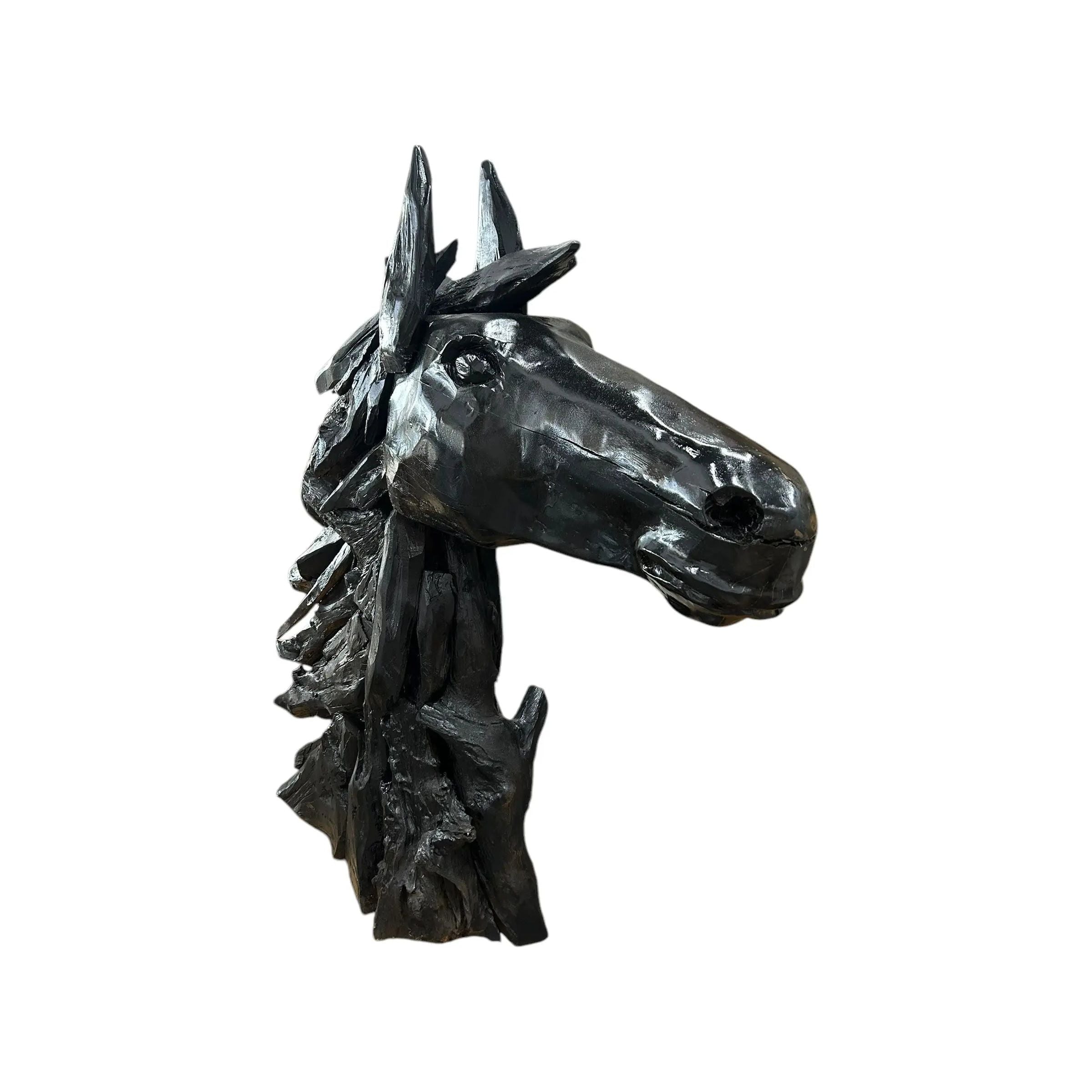 Black Teak Horse Head Broward Design Center