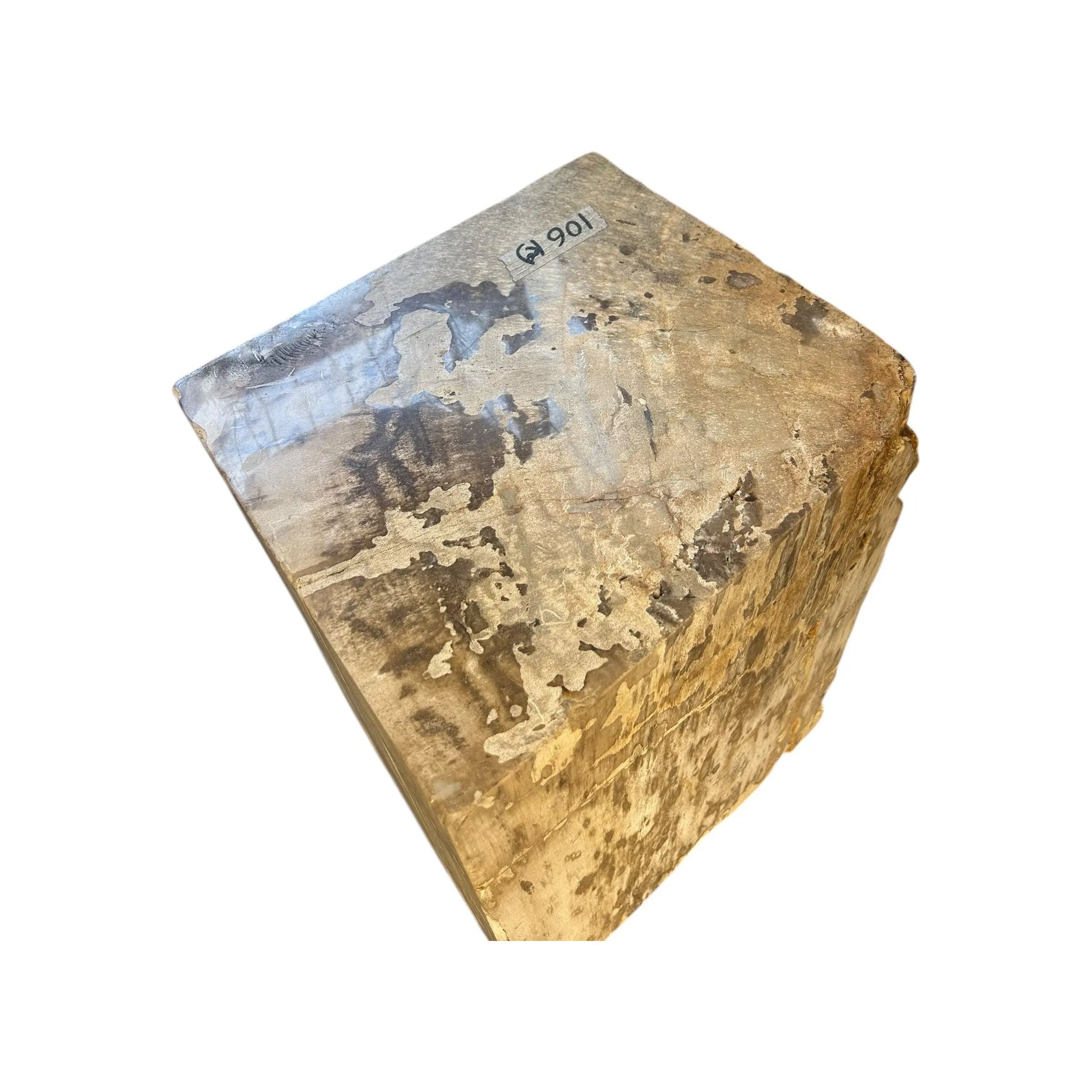 Petrified Wood Stump (L) The Broward Design Center