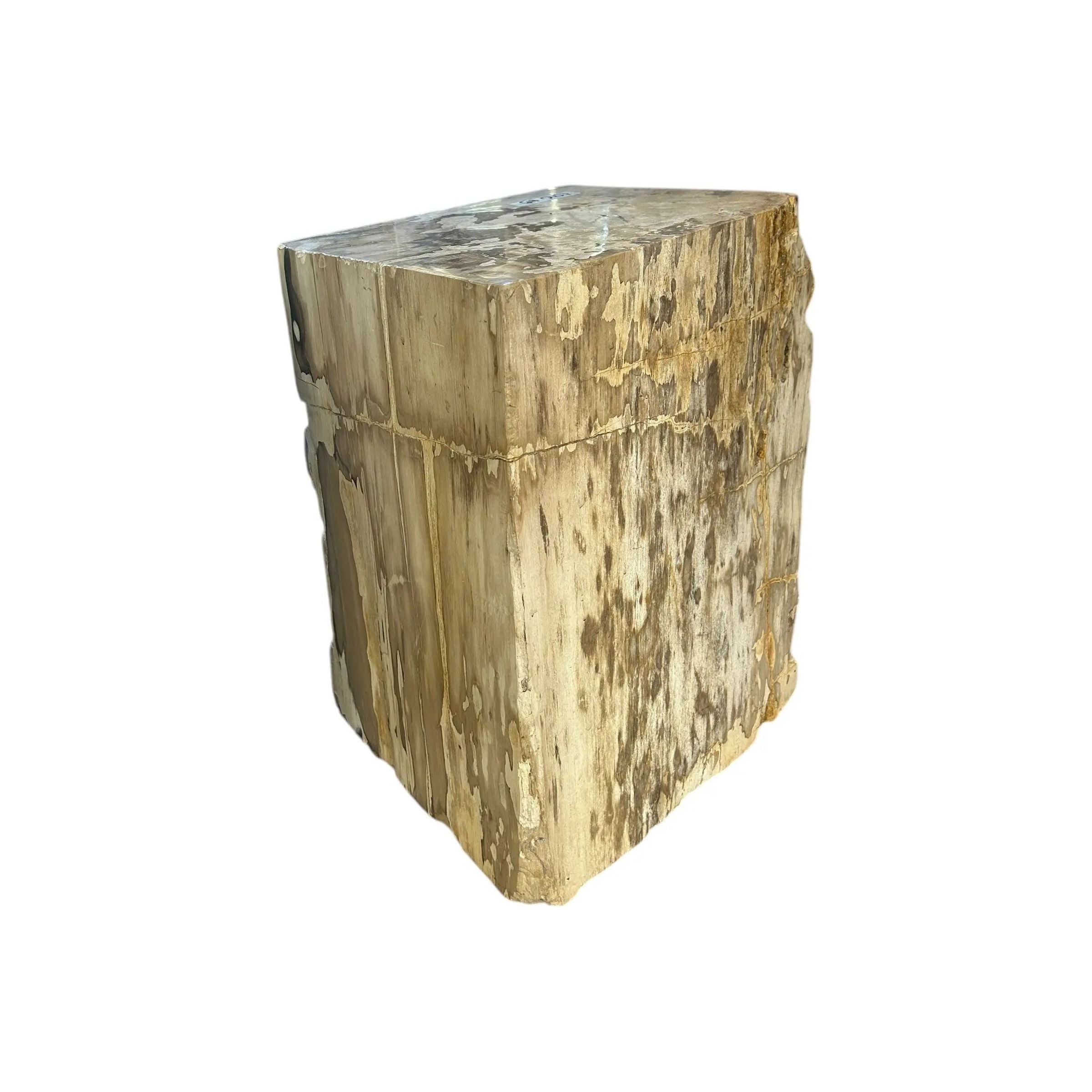 Petrified Wood Stump (L) The Broward Design Center