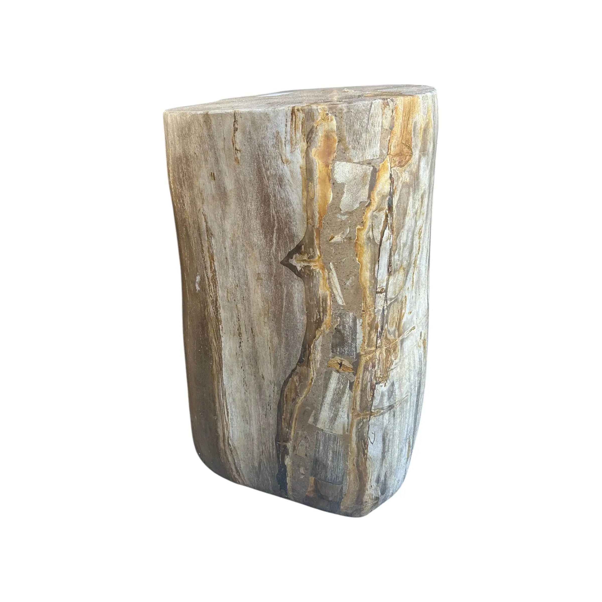 Petrified Wood Stump (M) The Broward Design Center