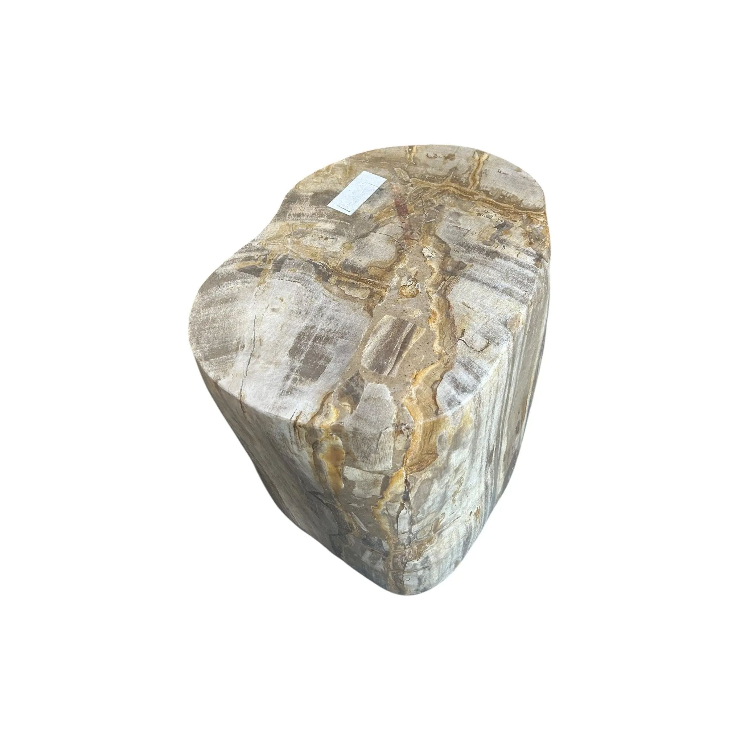 Petrified Wood Stump (M) The Broward Design Center