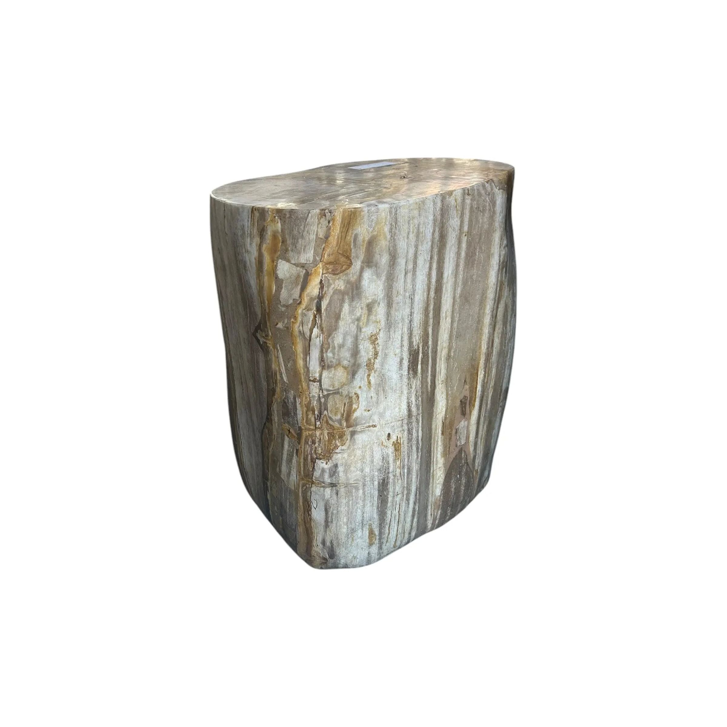 Petrified Wood Stump (M) The Broward Design Center