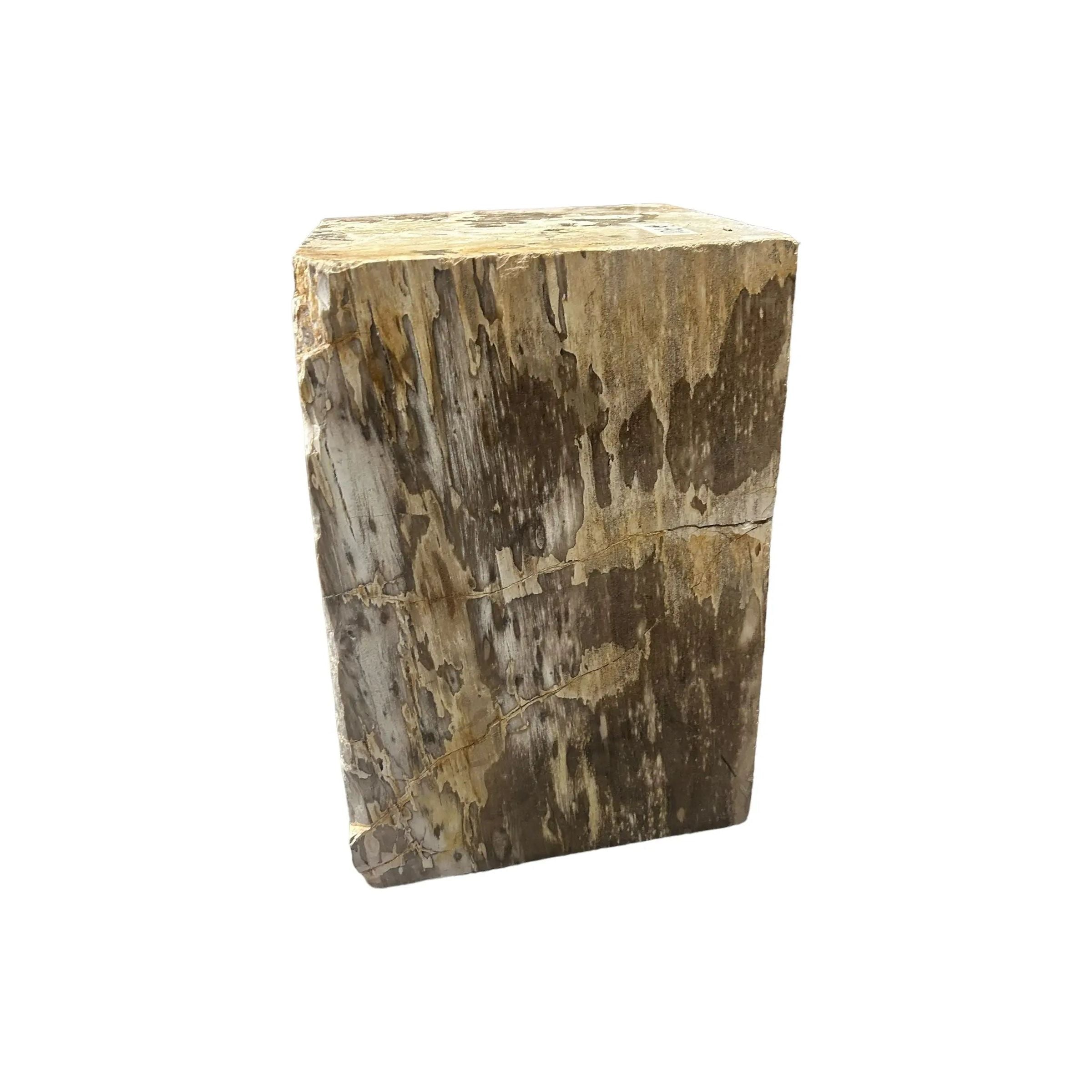 Petrified Wood Broward Design Center