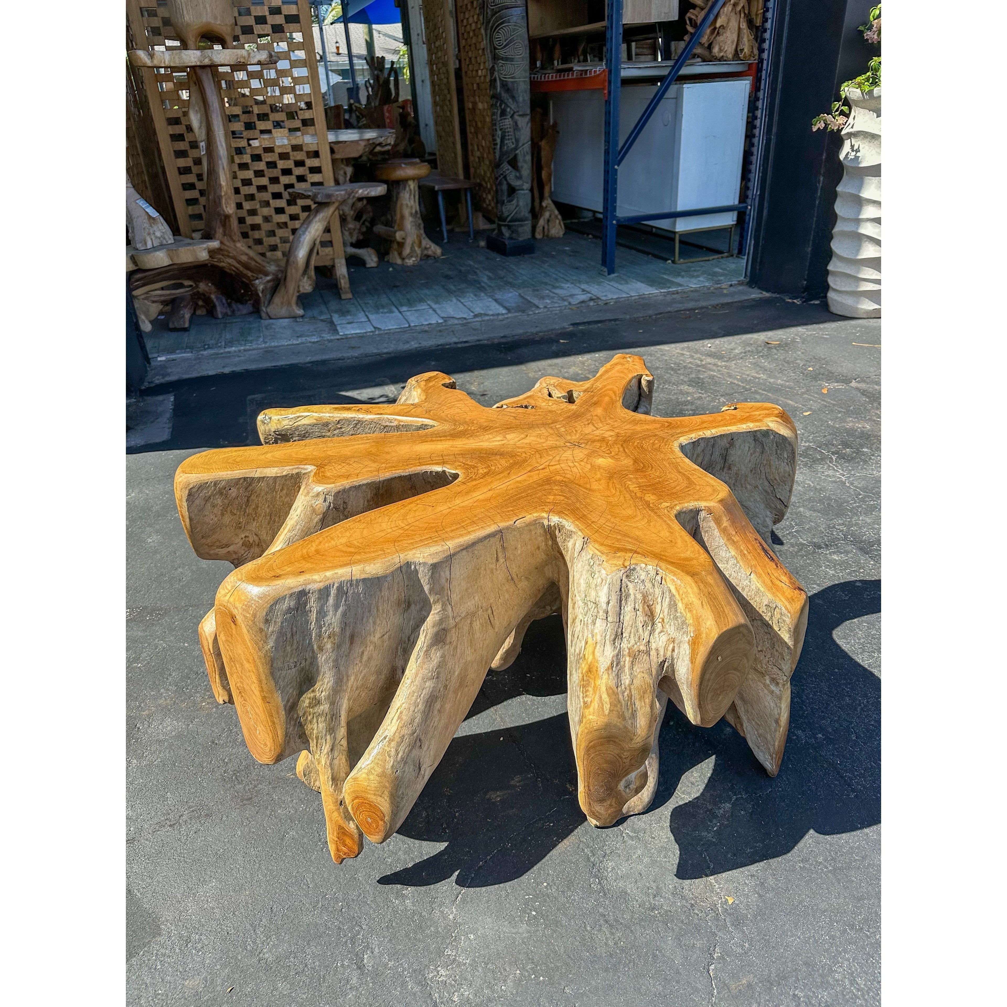 Teak Root Coffee Table The Broward Design Center