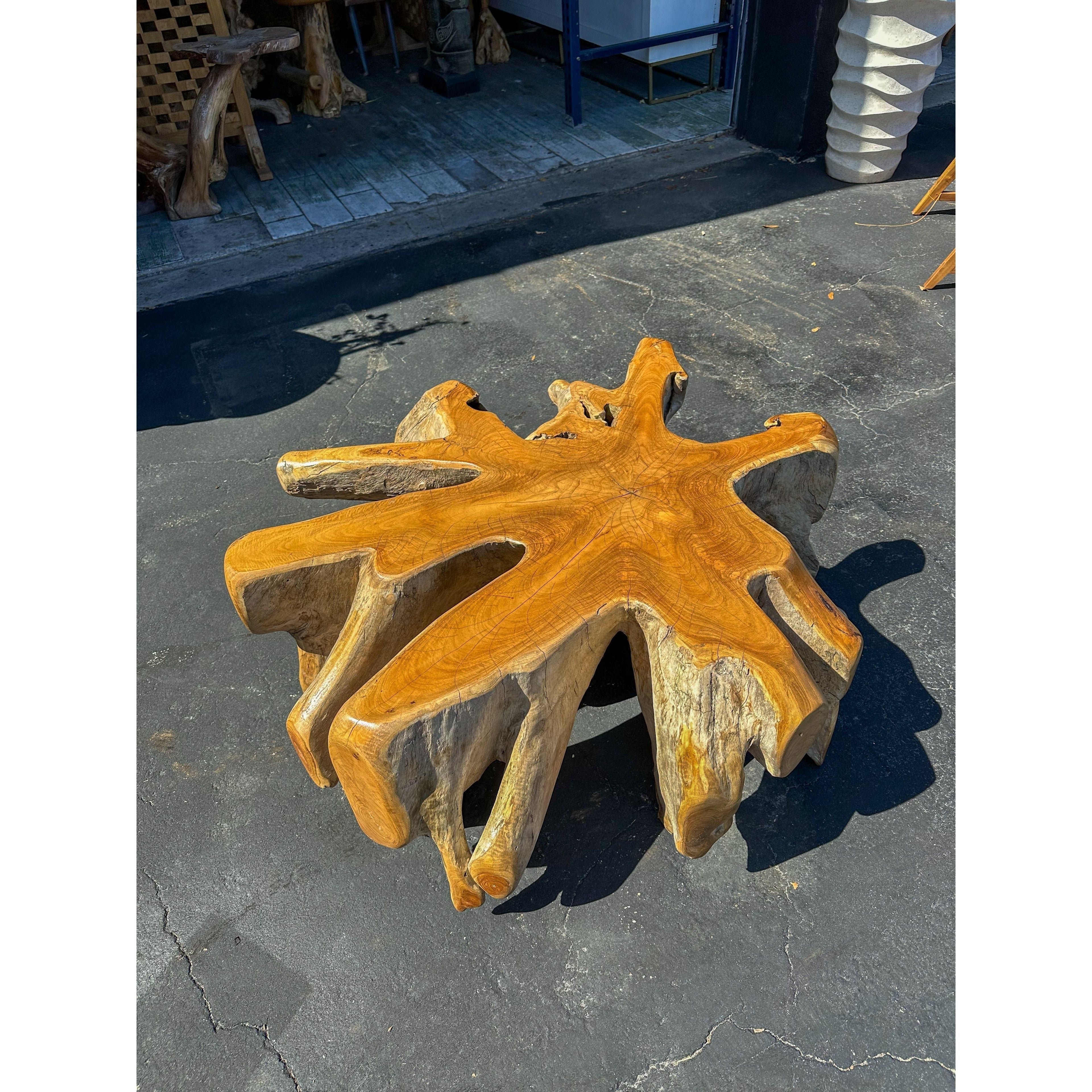 Teak Root Coffee Table The Broward Design Center