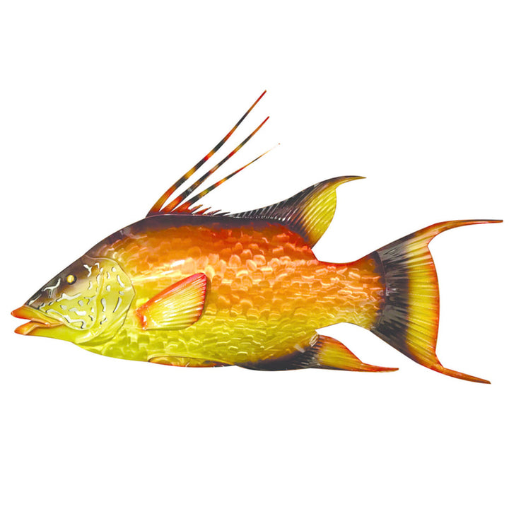 Vibrant Hogfish Broward Design Center