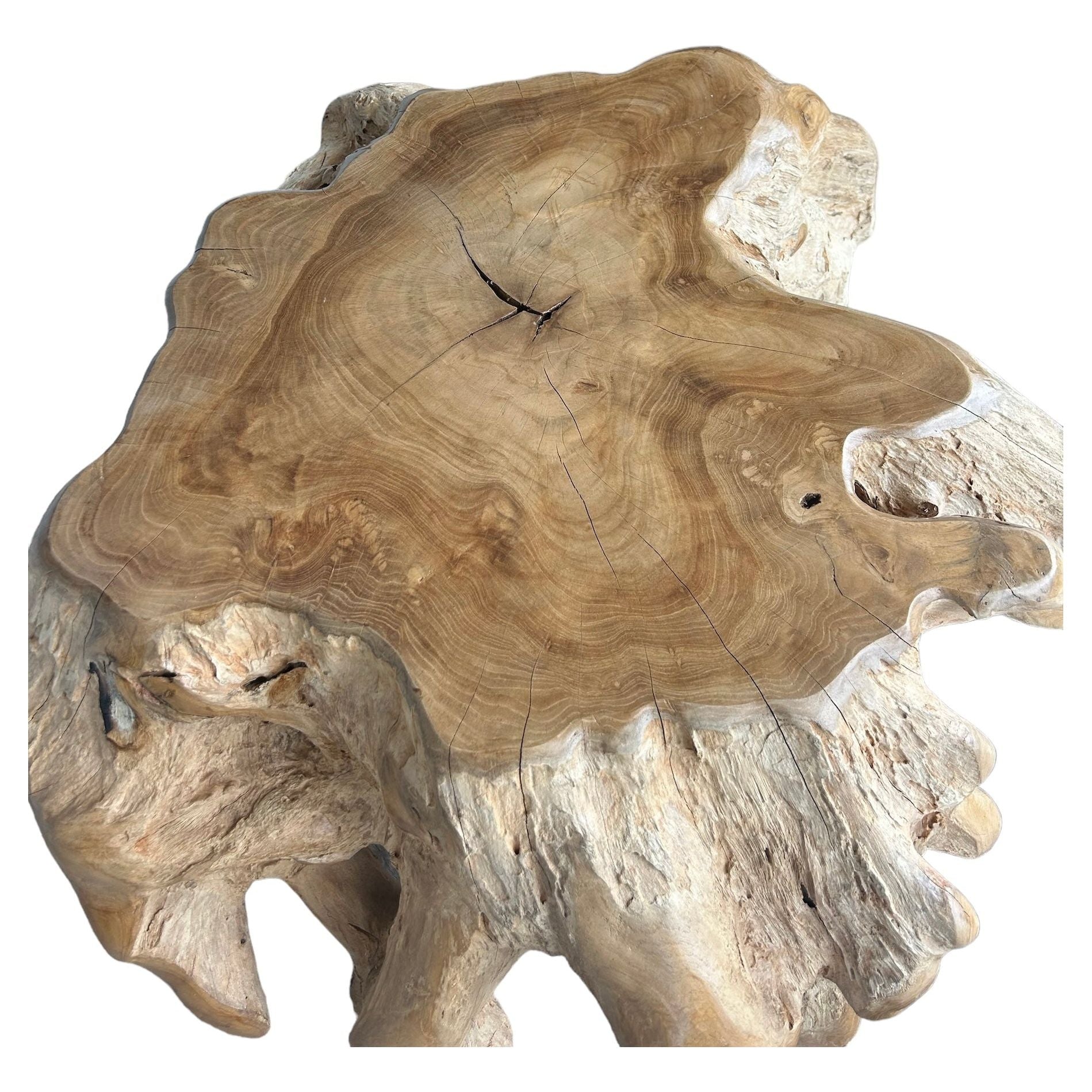Organic Teak Table Broward Design Center