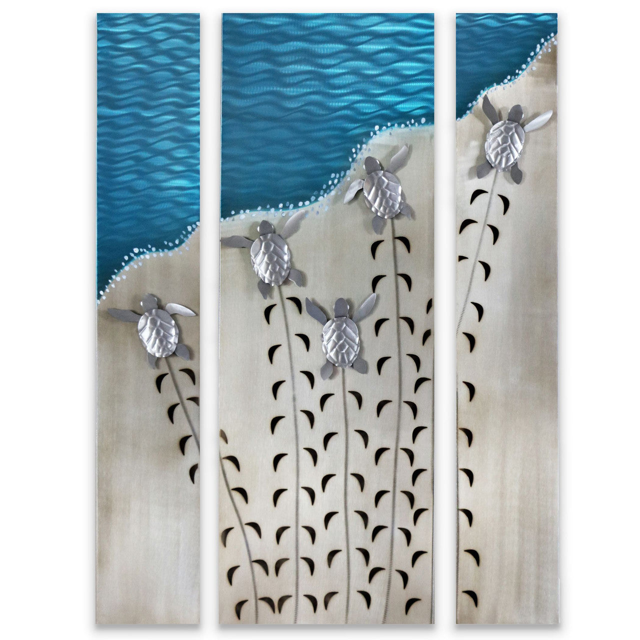 Baby Sea Turtles Making Tracks Broward Design Center