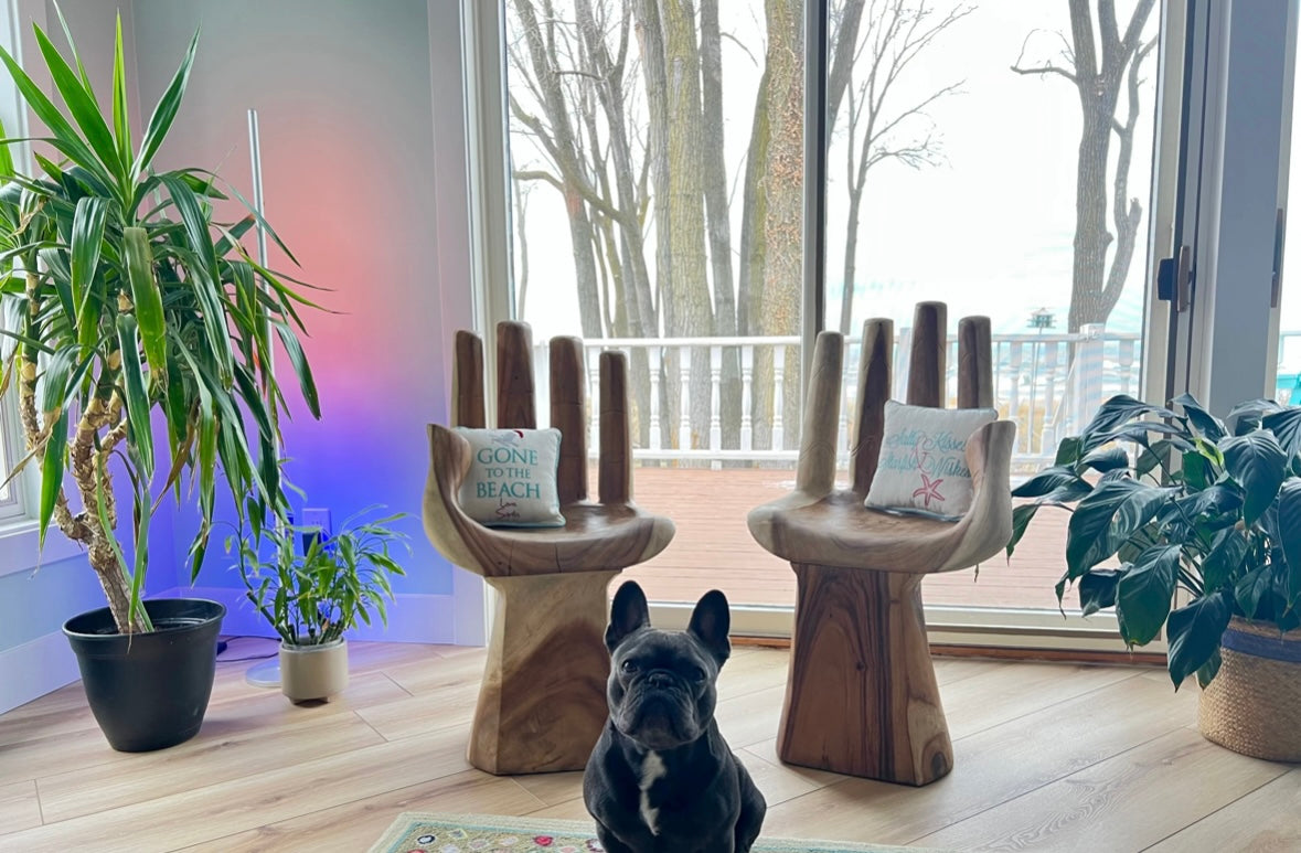Dining Chairs