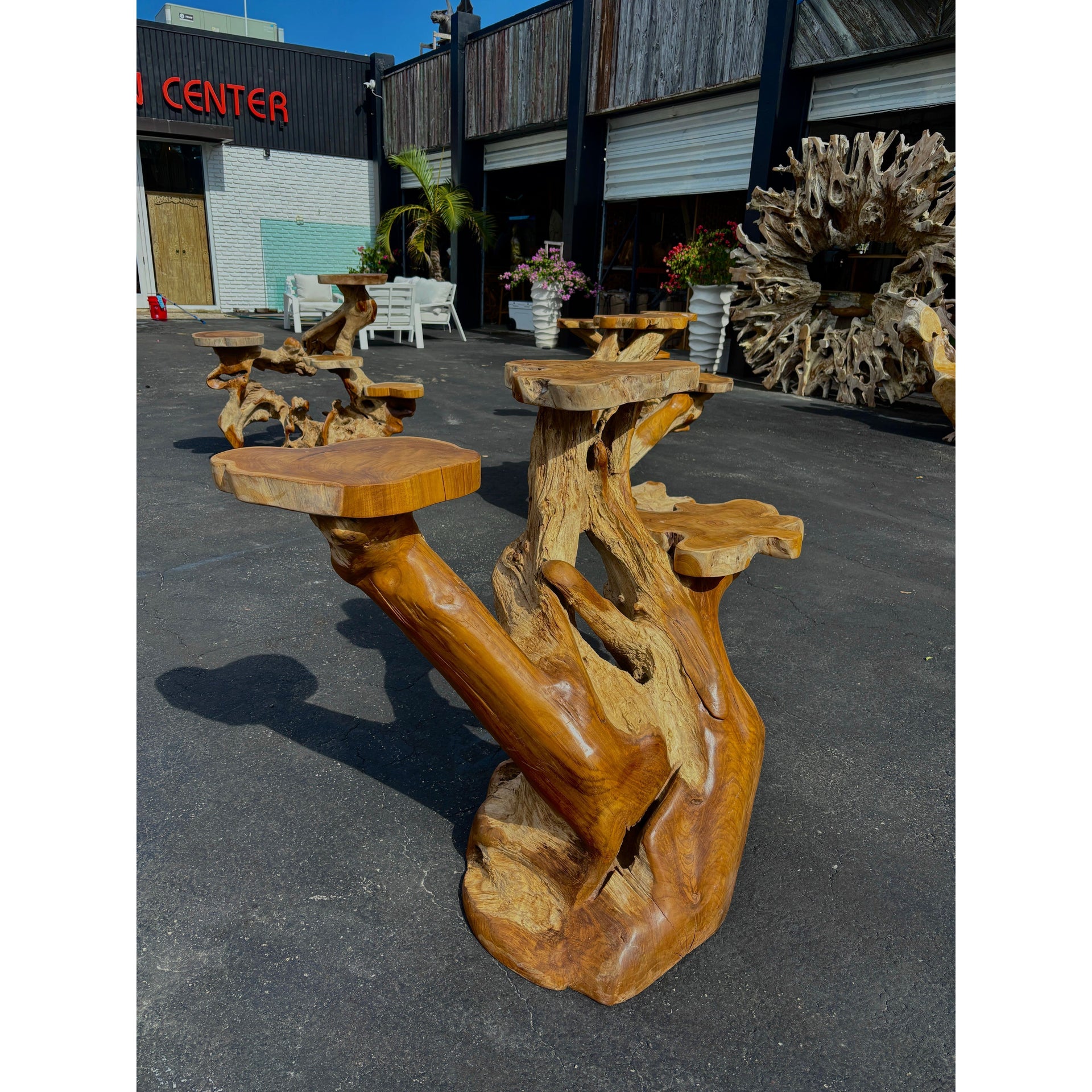 ORGANIC TEAK DISPLAY LARGE - E Anteak