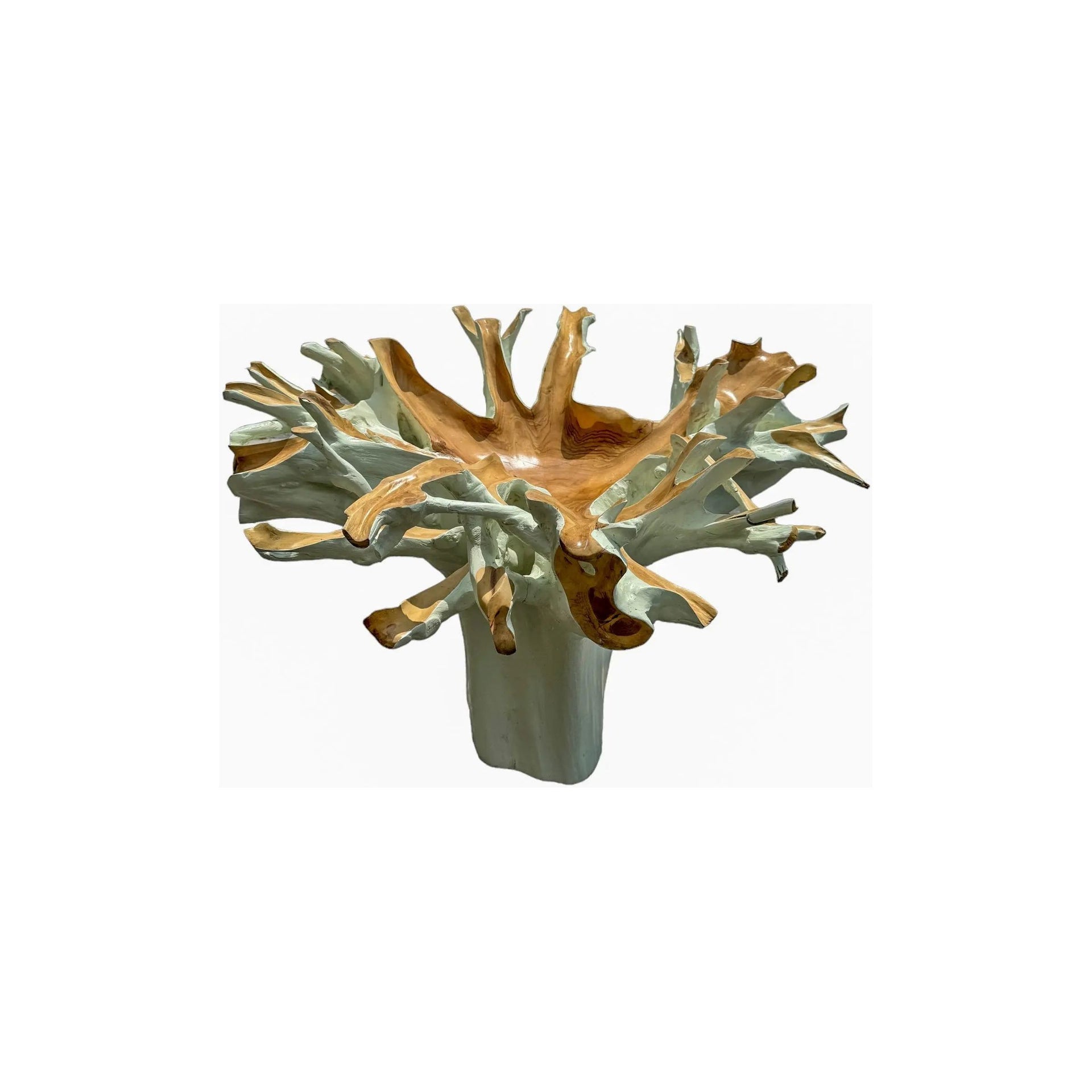 Teak Root Dining Table (A) (White) Broward Design Center