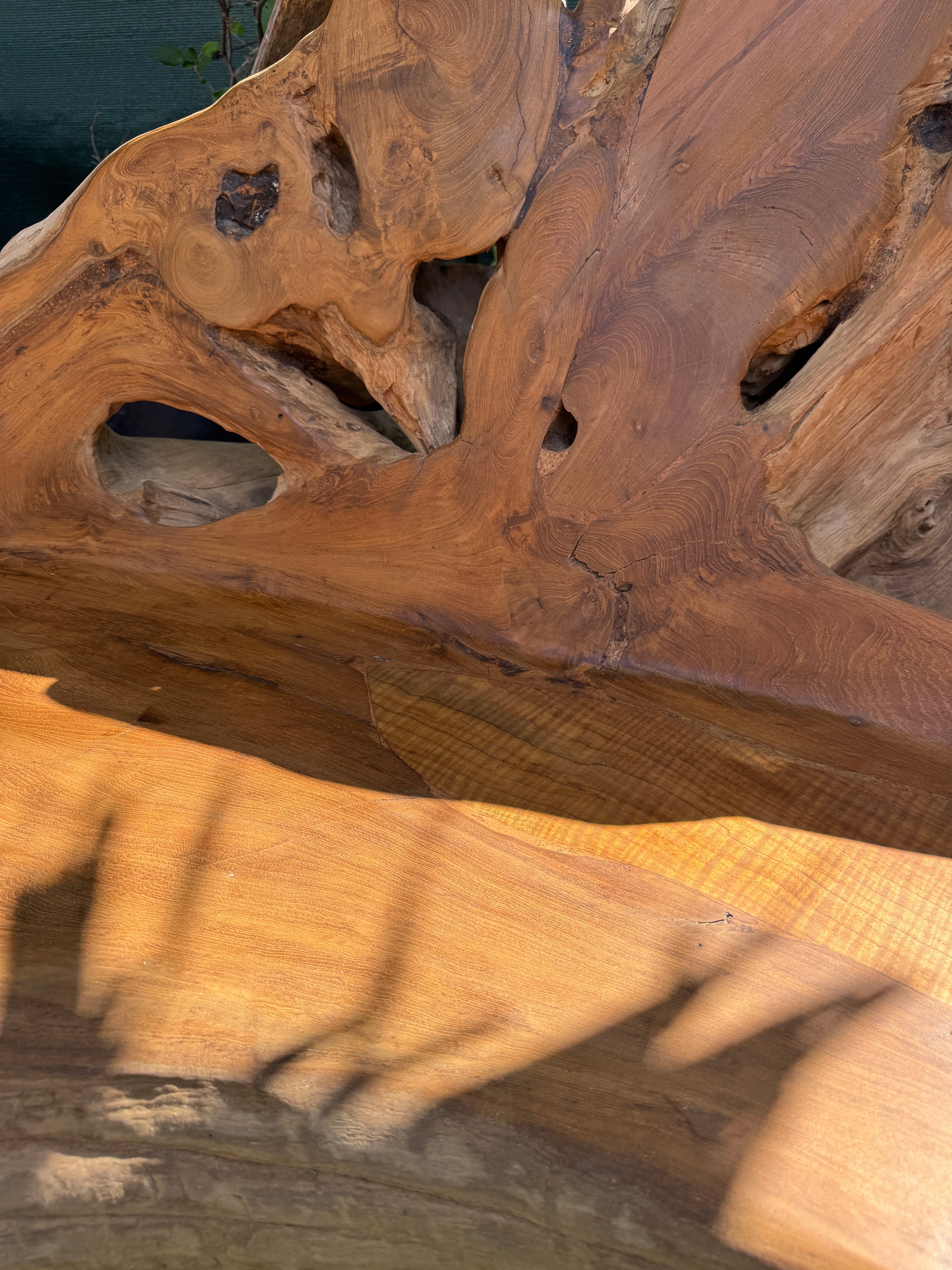 Teak Root Sofa XXL (B) Broward Design Center