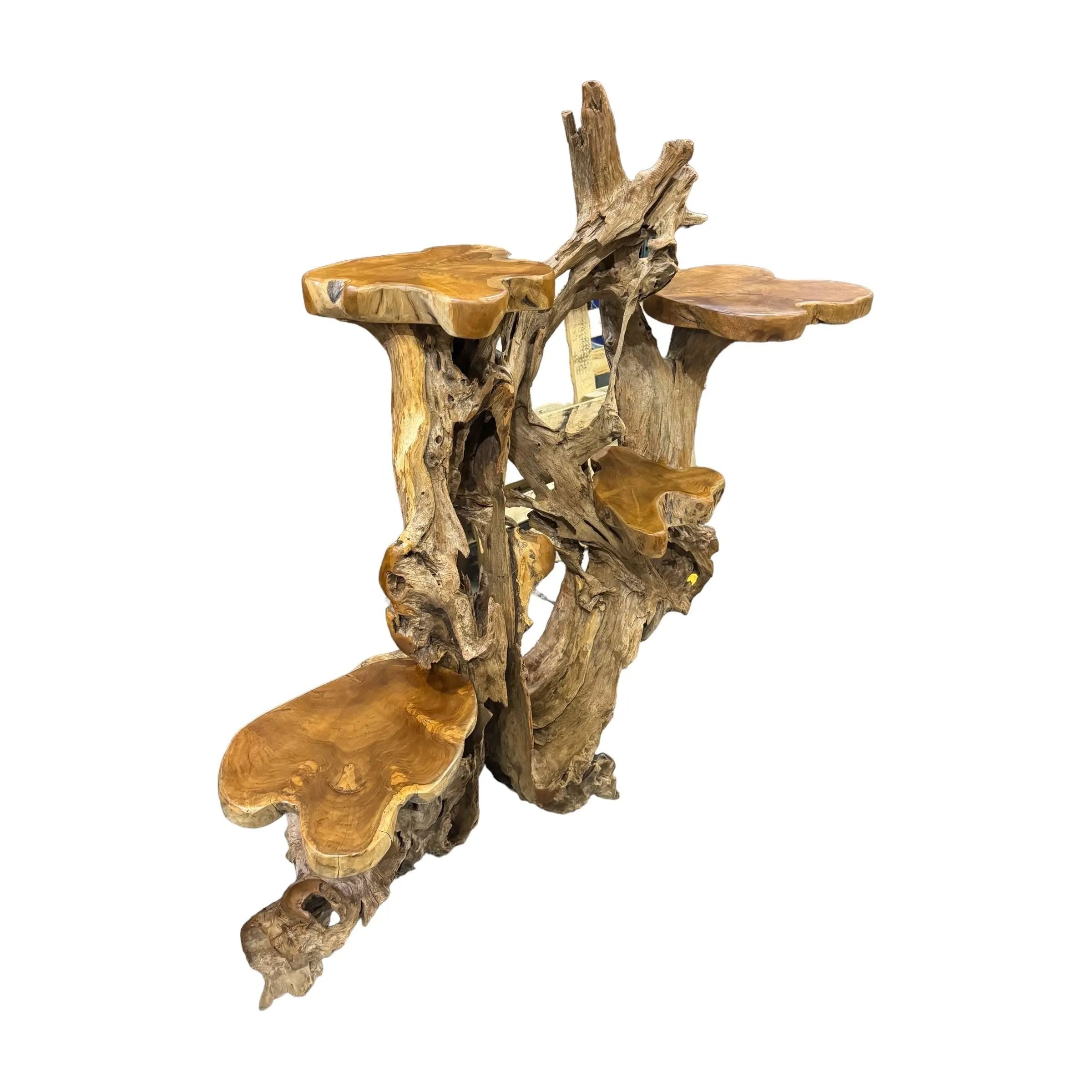Teak Root Display (1A) - Broward Design Center