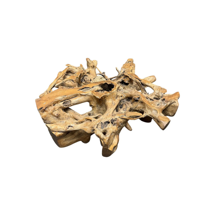 XL Teak Root Coffee Table The Broward Design Center