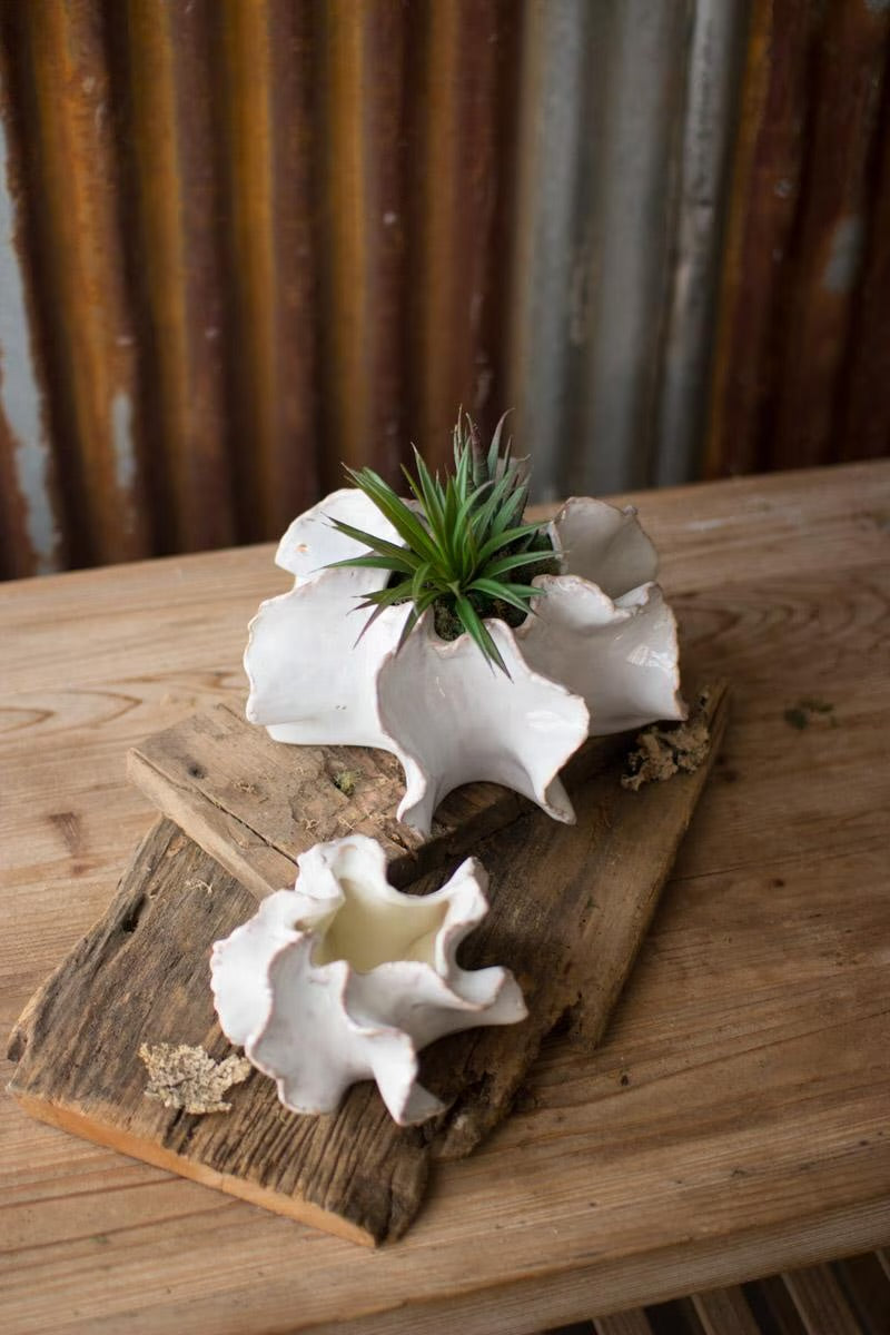 Set of Two Organic Ceramic Planters