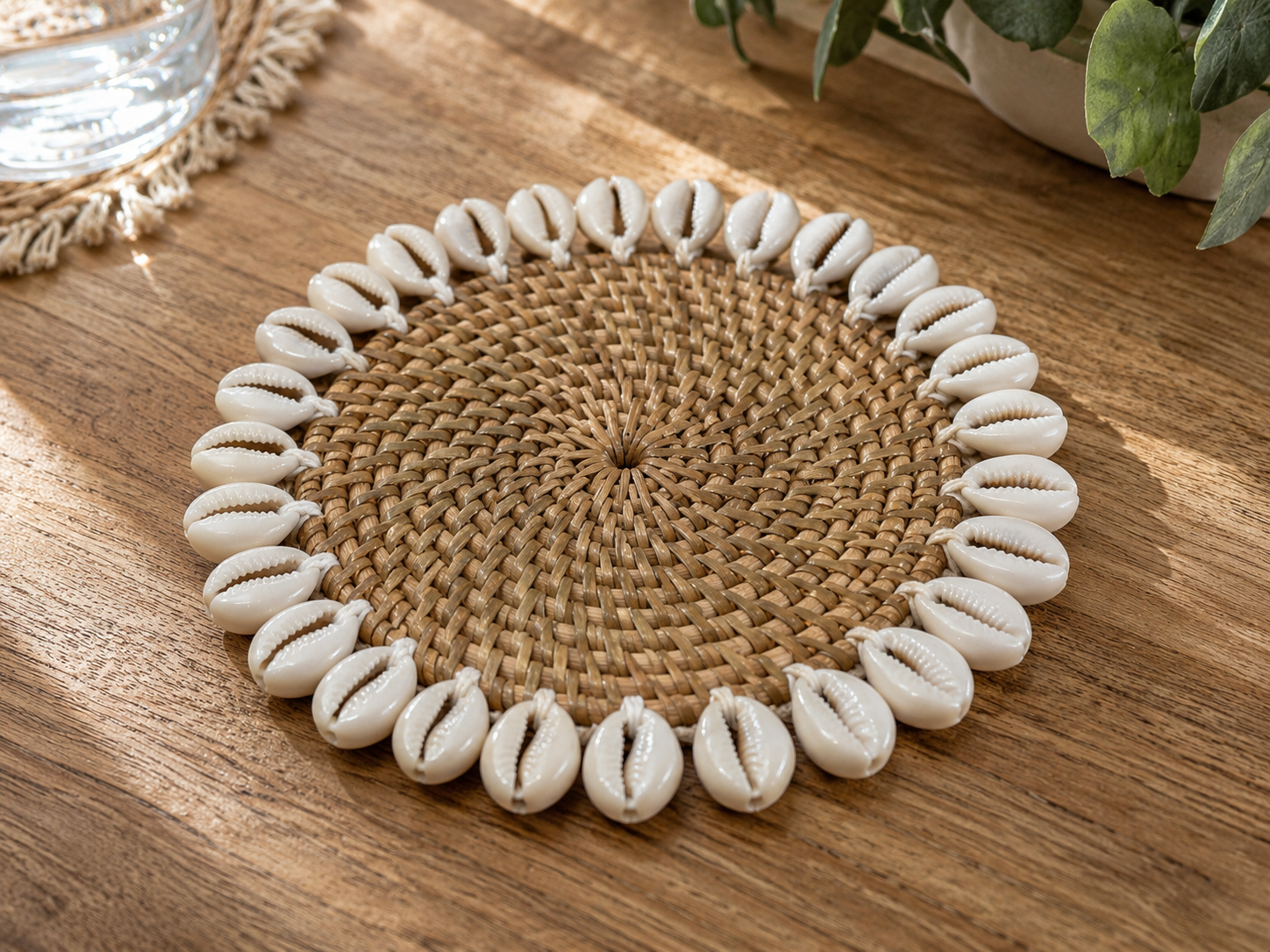 White Shell Coasters