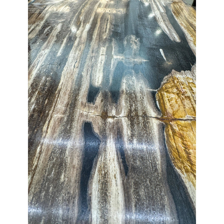 Petrified Wood Table Top (B) Broward Design Center