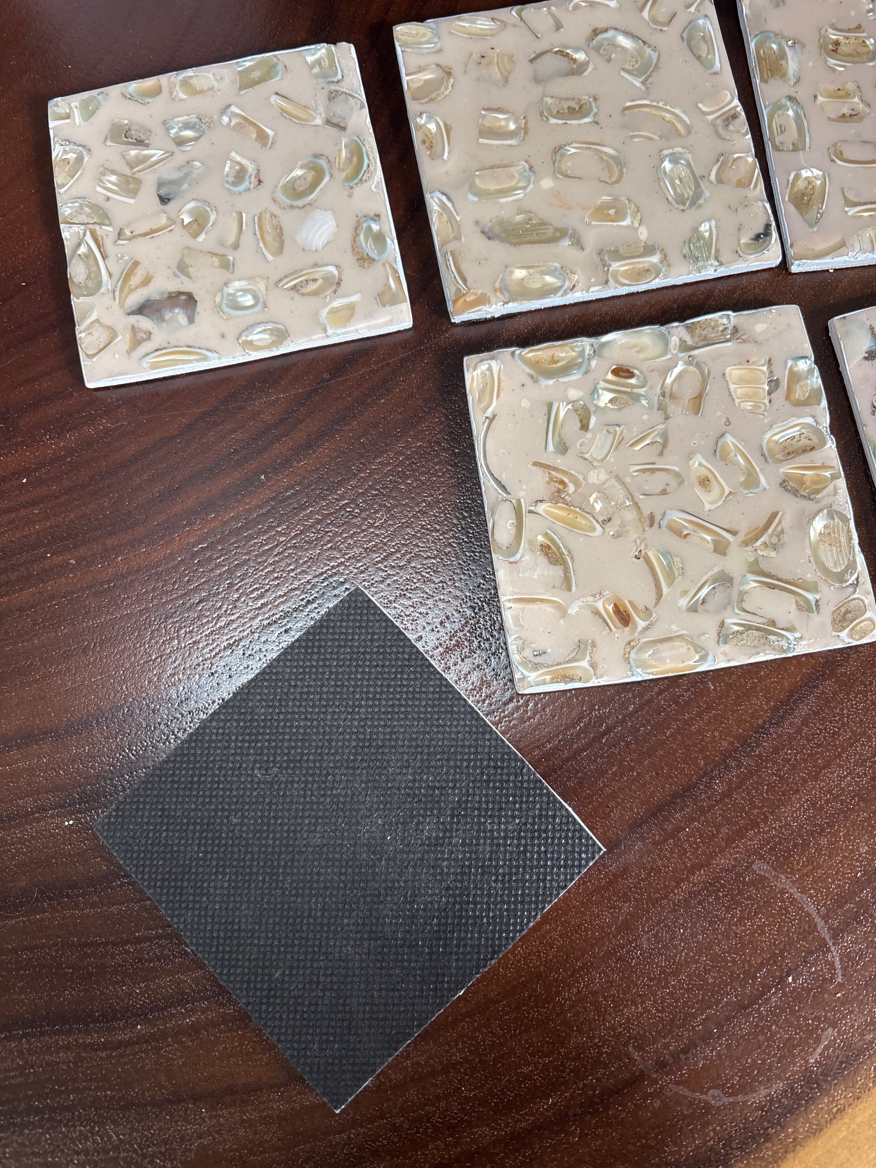 Ceramic Seashell Coasters Set of 6 The Broward Design Center