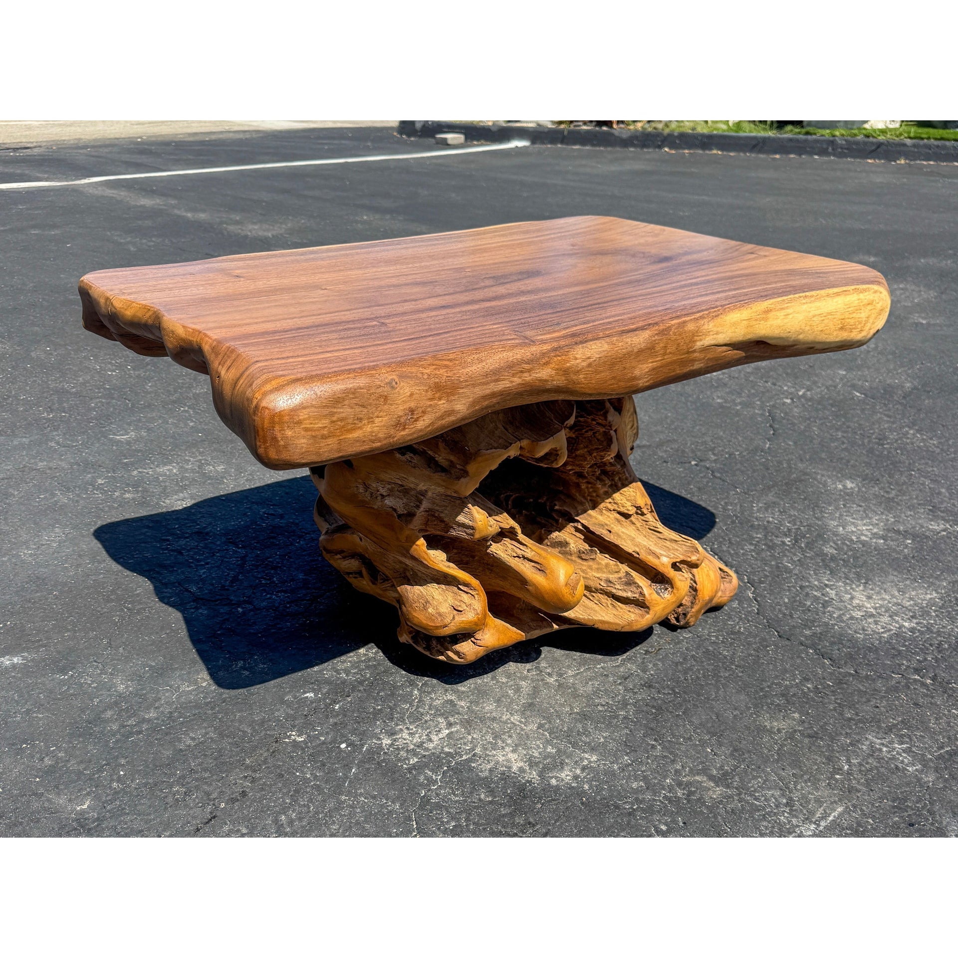 Rectangle Teak Root Coffee Table (2) The Broward Design Center
