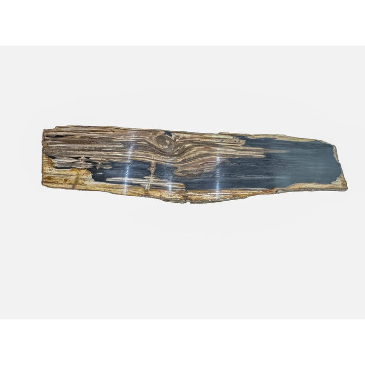 Petrified Wood Table Top (B) Broward Design Center