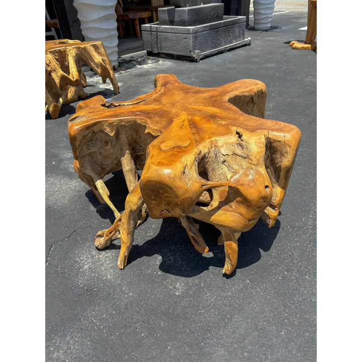 Teak Root Coffee Table (1) Broward Design Center