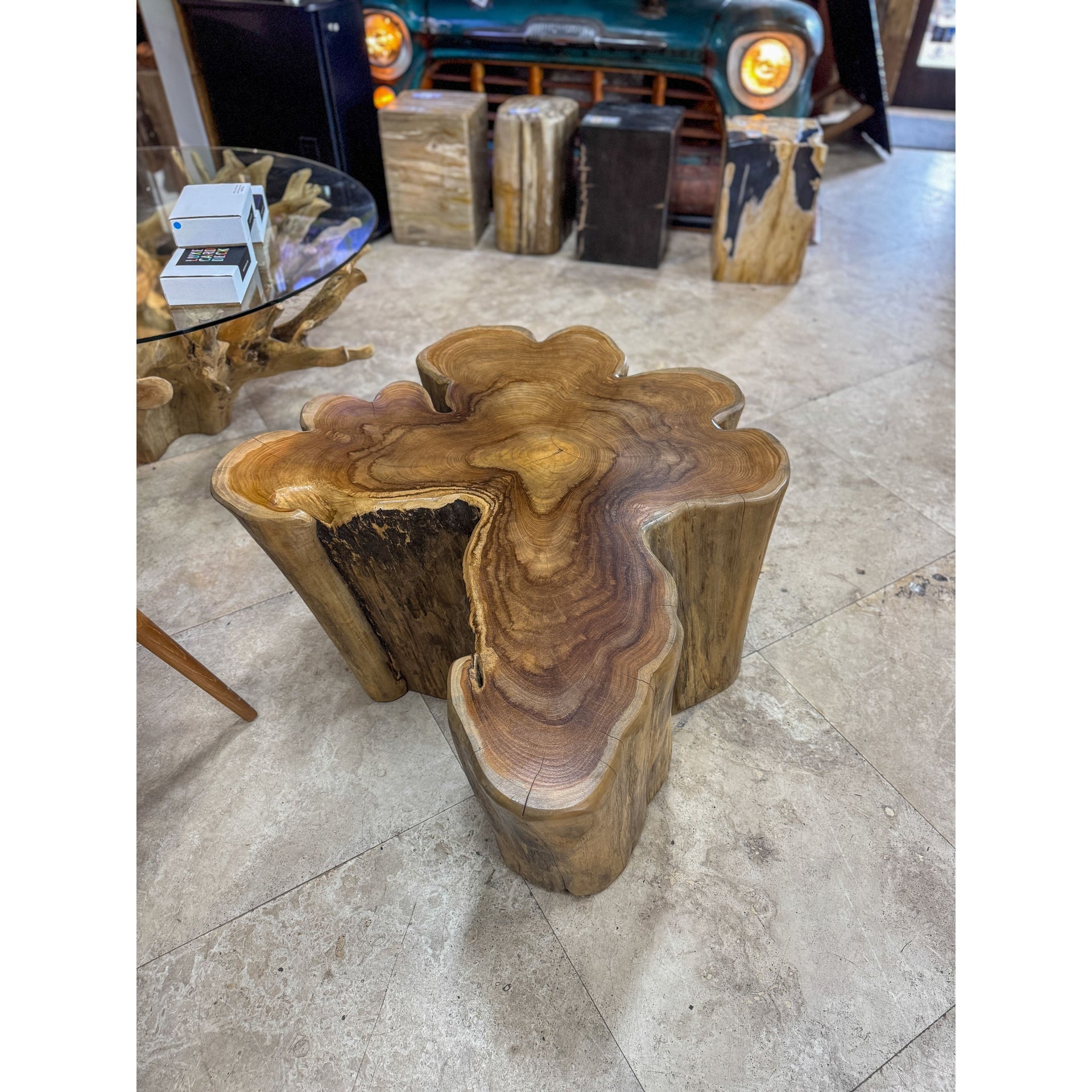 Teak Root Star Coffee Table (C) Anteak