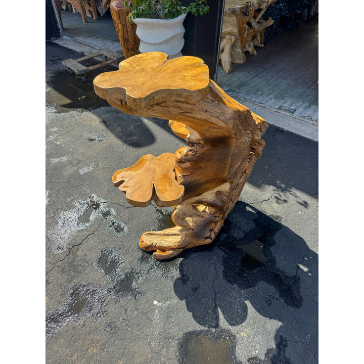 Teak Root Display (4A) Broward Design Center