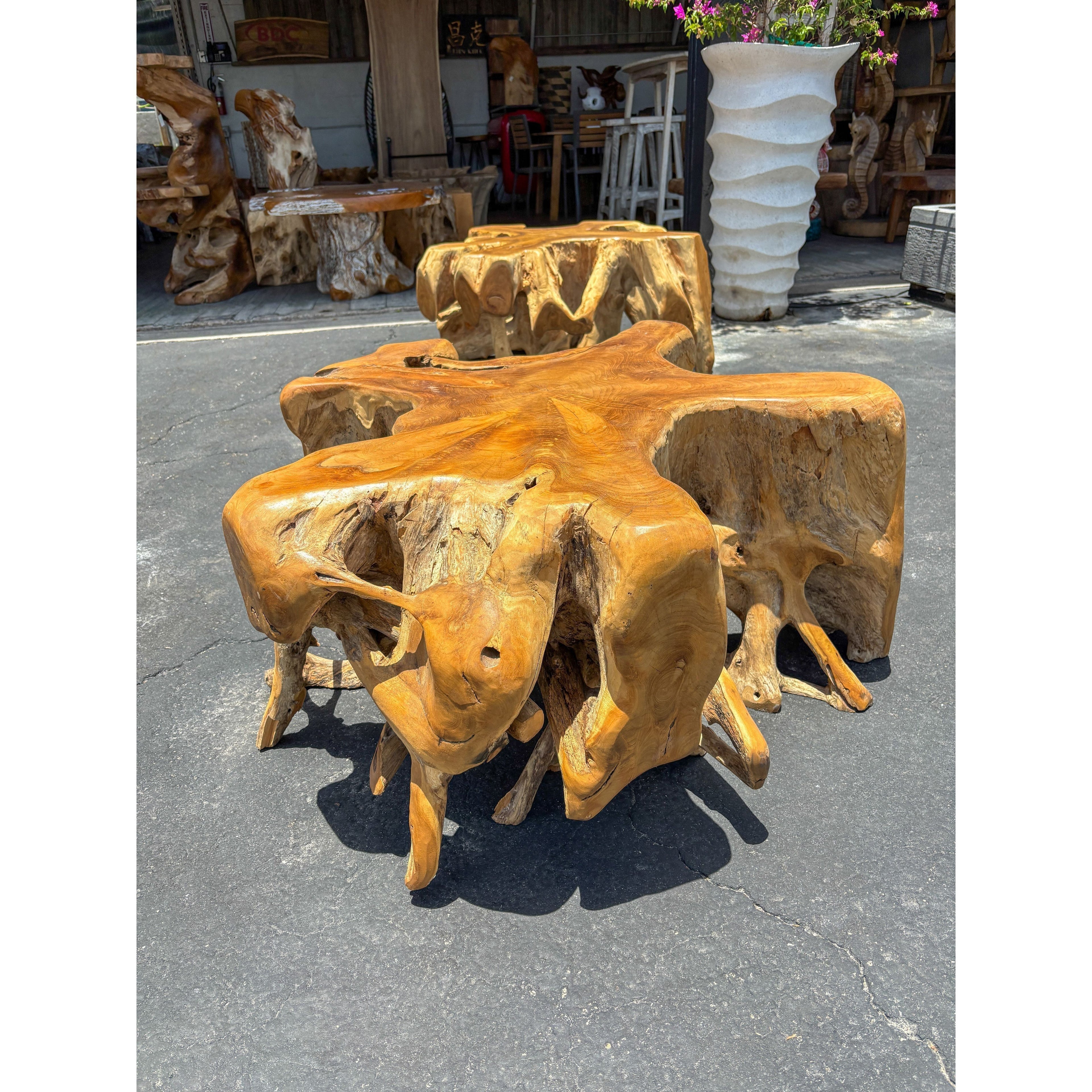 Teak Root Coffee Table (1) Broward Design Center