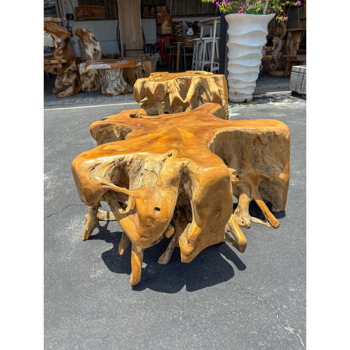 Teak Root Coffee Table (1) Broward Design Center
