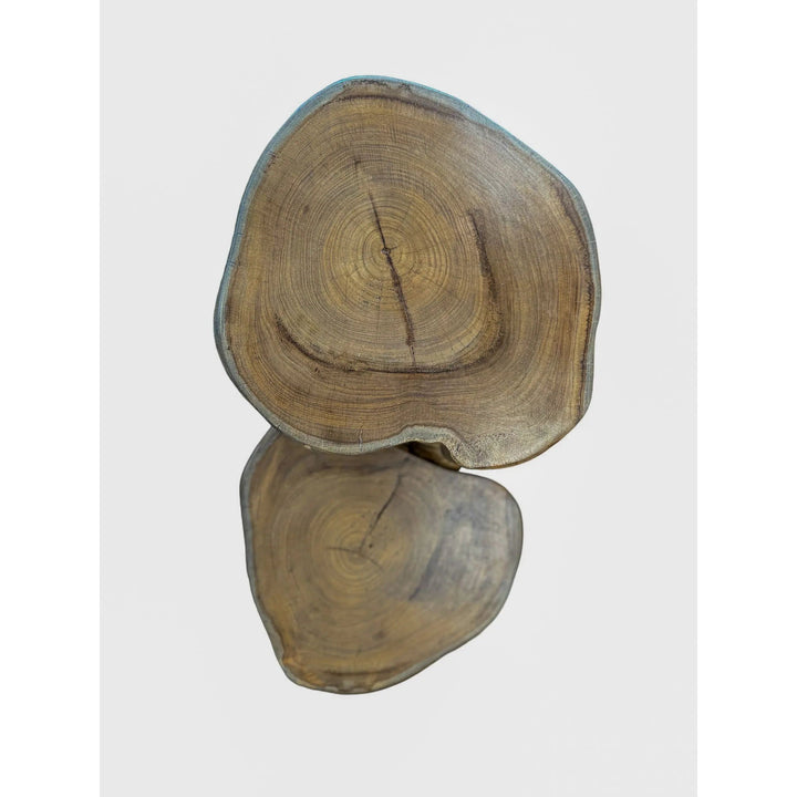 Teak Plant Stand (XS) - Broward Design Center