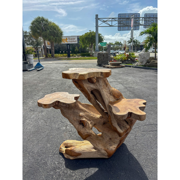 ORGANIC TEAK DISPLAY LARGE - D Anteak