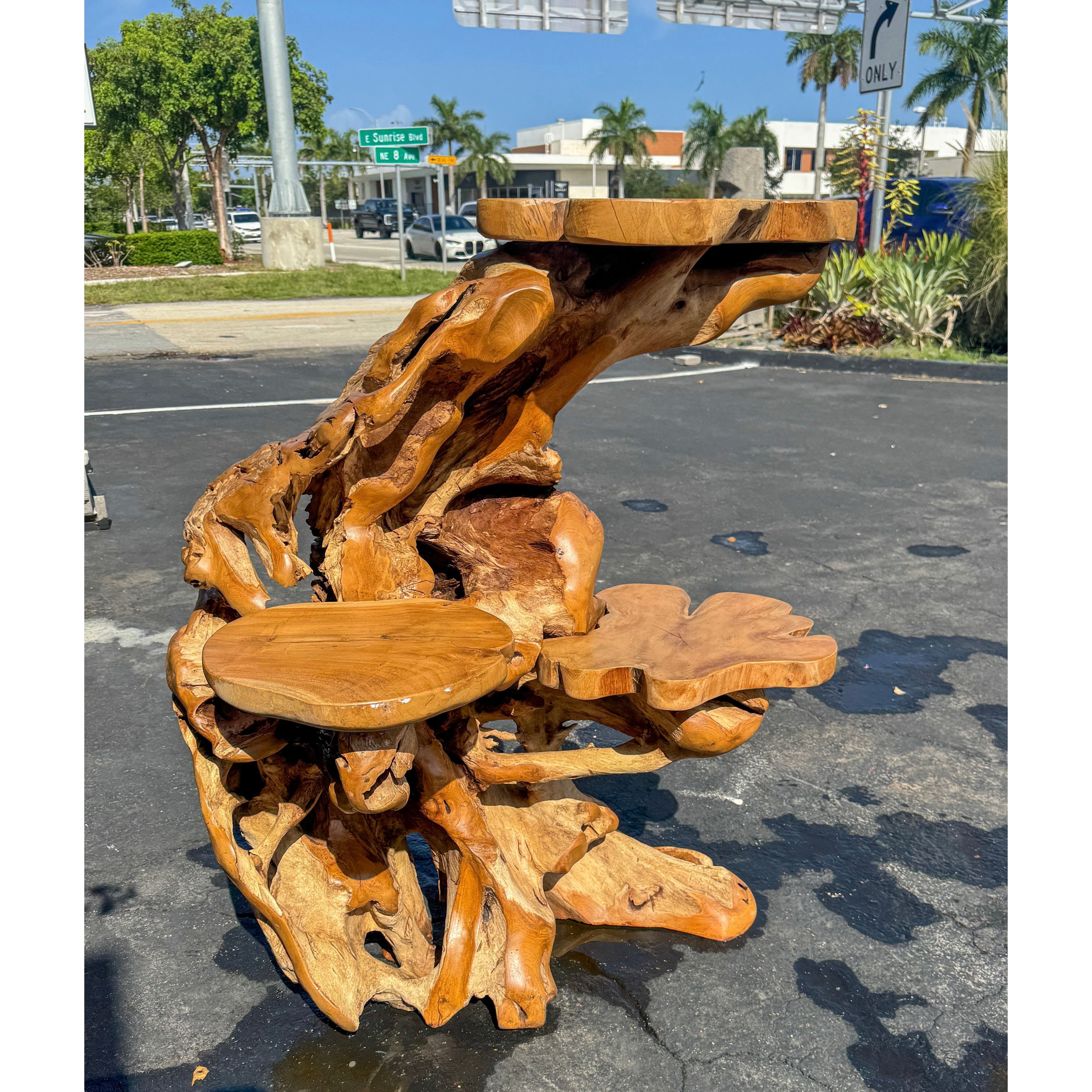 Teak Root Display (4A) Broward Design Center